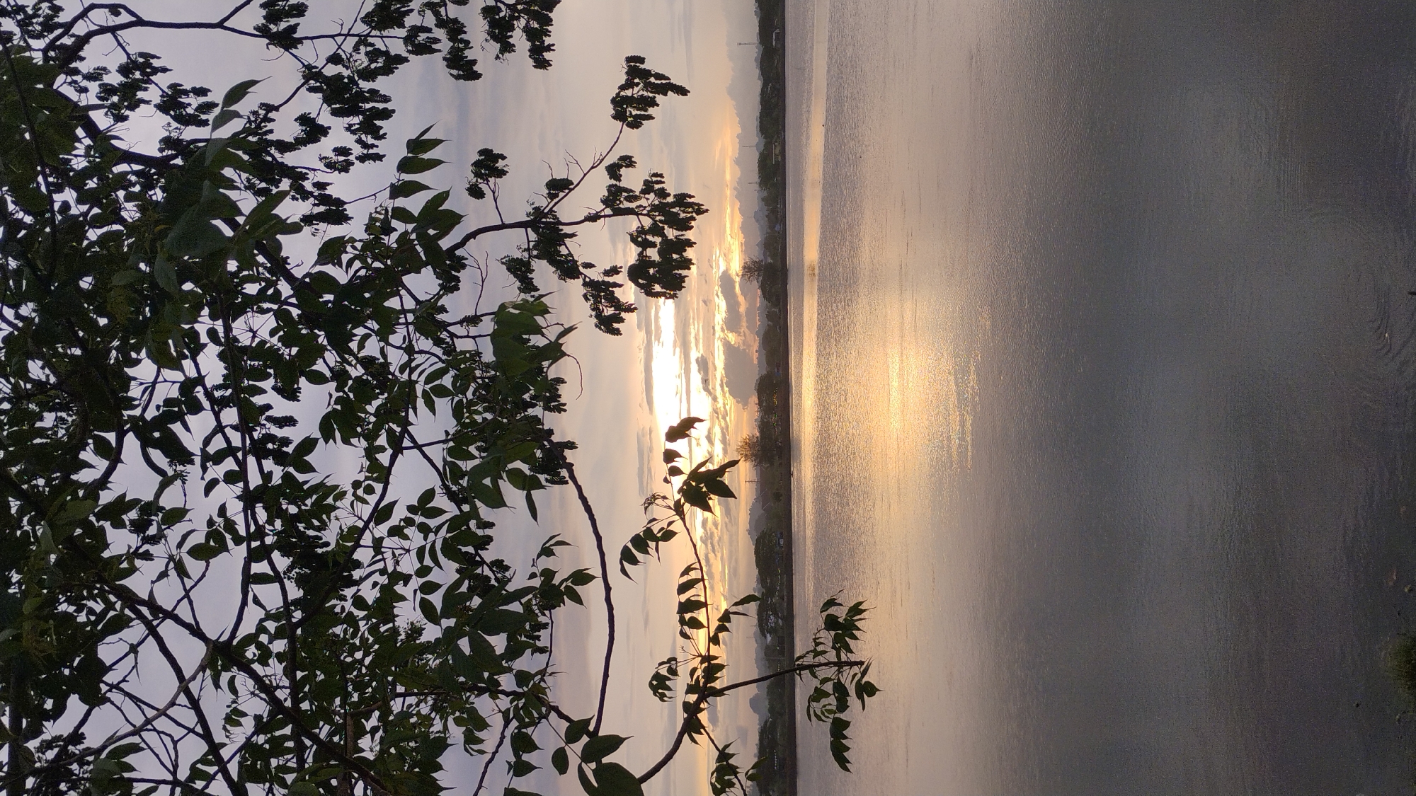 This image captures a tranquil sunset scene over a body of water, likely a lake or a reservoir, in Lhokseumawe, Indonesia. The foreground is dominated by the dark silhouettes of tree branches and leaves, framing the view of the water and the distant horizon. The water's surface reflects the golden hues of the setting sun, creating a shimmering path of light. In the distance, a line of trees and buildings marks the edge of the land, with a hazy mountain range visible beyond. The sky is a blend of soft blues, grays, and oranges, with scattered clouds catching the fading sunlight. The overall atmosphere is peaceful and serene, typical of a quiet evening by the water in Lhokseumawe.