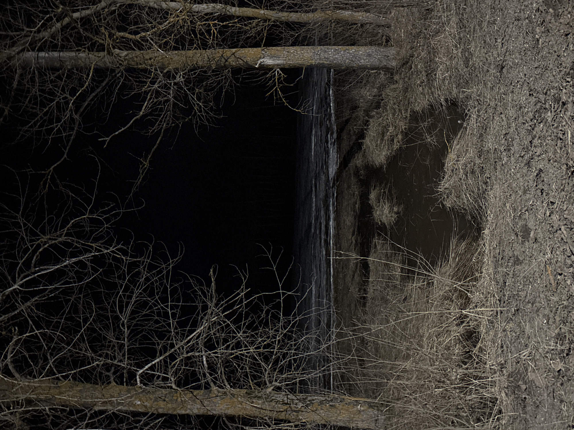 A dark, low-angle view from near the edge of a body of water or a stream in a natural environment. The image is composed of dark and light areas, with bare tree branches occupying the top left and bottom left corner of the photo, and an area of dry grass and dirt dominating the right side of the image. A dark body of water is positioned in the middle of the frame, with a reflection of white color that has a line in the middle. There are no indications of the location as Rusalevka, Russia, or of any people, subjects or objects.