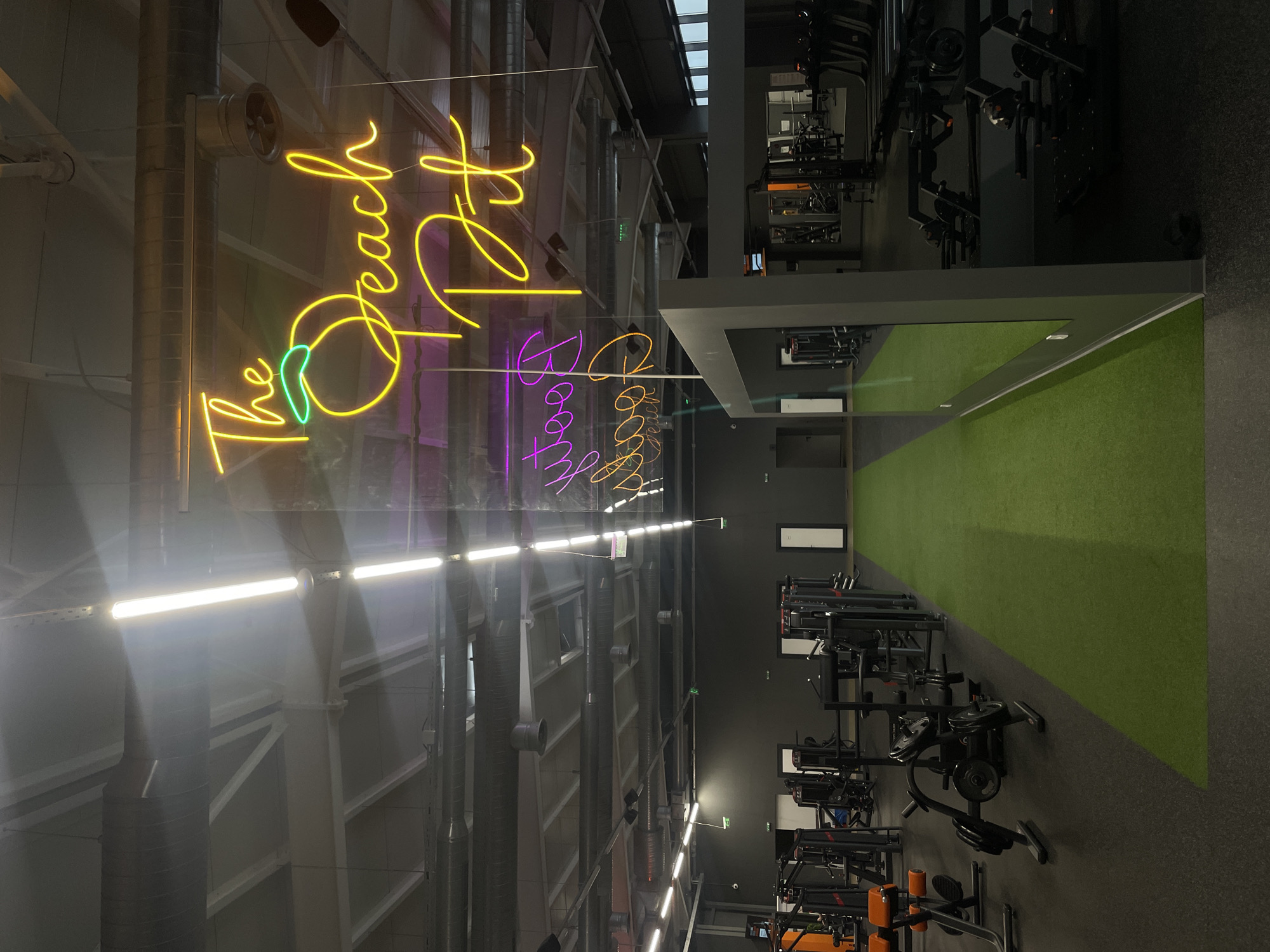 The image shows the interior of a gym. A neon sign reading "The Peach Pit" is prominently displayed in the upper left of the frame. Fitness equipment is visible throughout the space. A green turf area runs along a portion of the floor. The gym appears to be located in an industrial or commercial building, based on the exposed ductwork and structural elements. The location is unknown. No people are visible in the image.