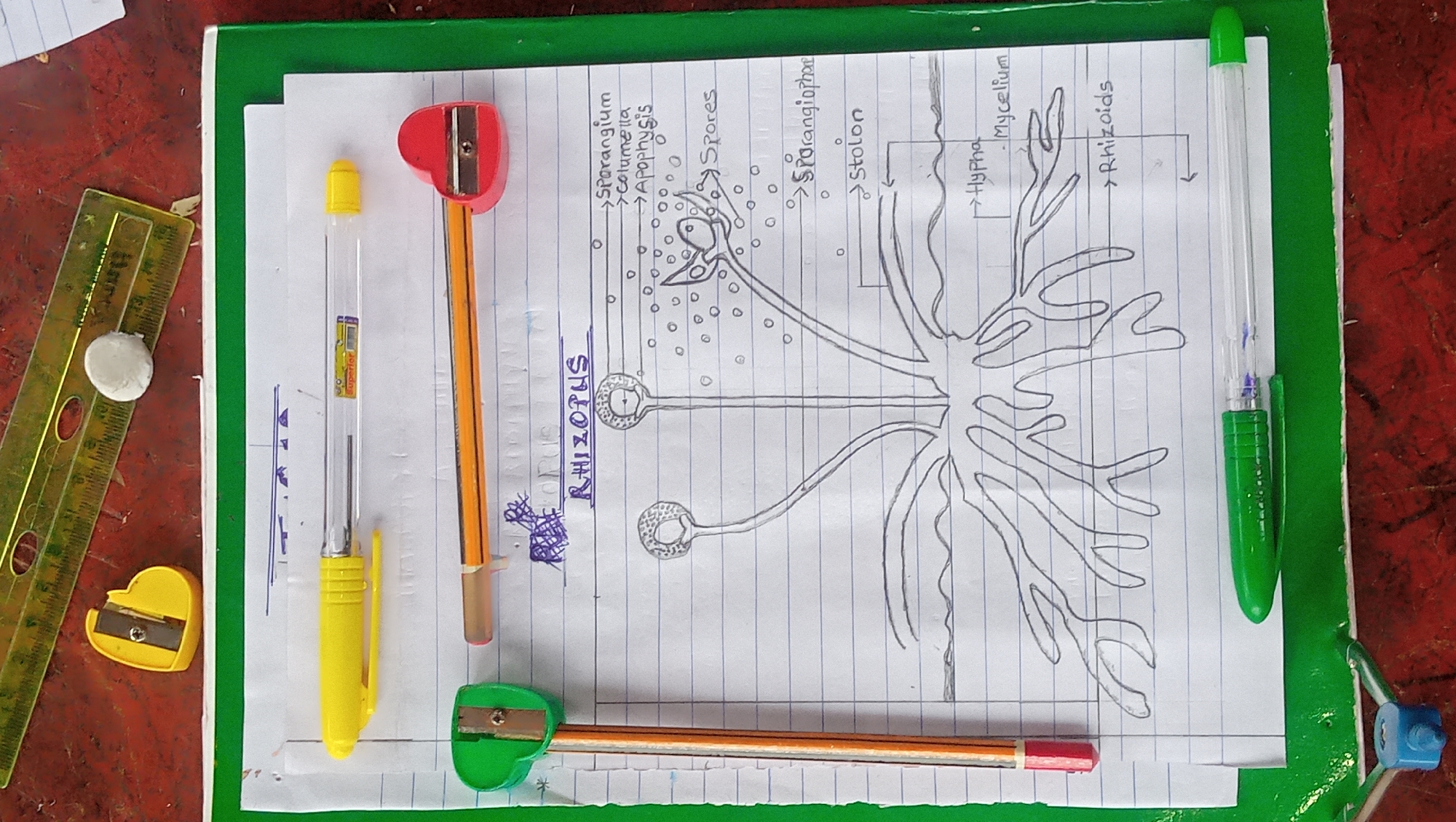Memory