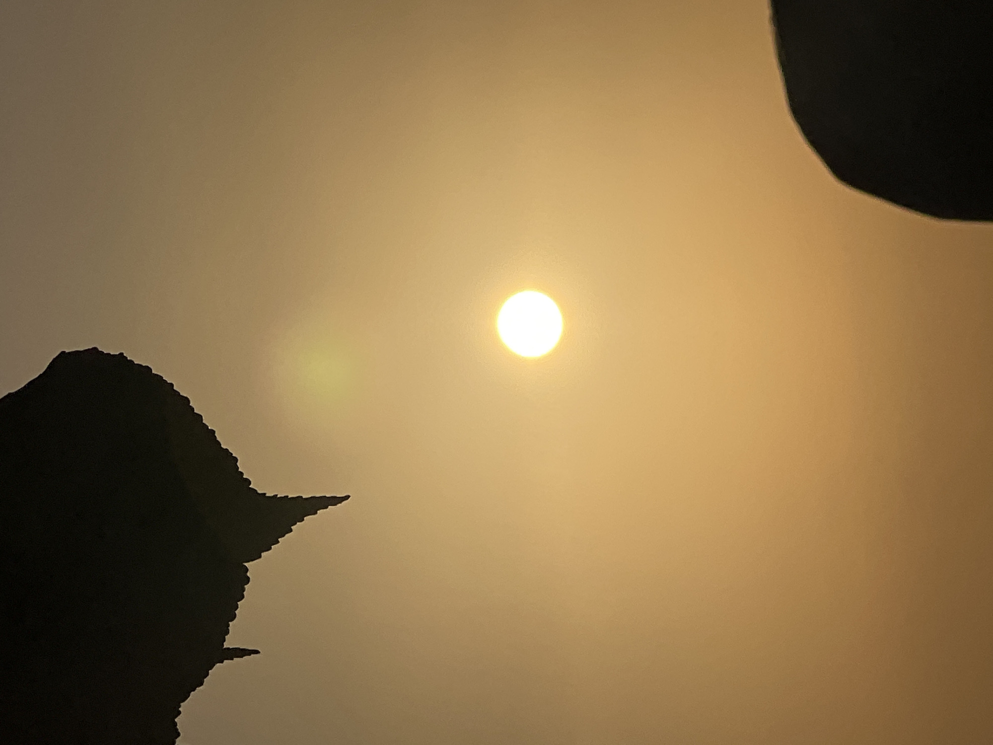 The image shows a silhouette of the sun against an orange sky. In the foreground, there are silhouettes of two dark, irregularly shaped objects, one in the upper left and another in the lower right. The object in the upper left appears to be a leaf or a part of a tree, with jagged edges. The object in the lower right is rounded and bulbous. The sun is a bright, white circle in the center of the frame, with a soft glow around it, indicating it might be sunrise or sunset. The overall mood is serene and natural, with a hint of mystery due to the obscured foreground elements. The image does not contain any specific elements that place it in Kuta, Indonesia.