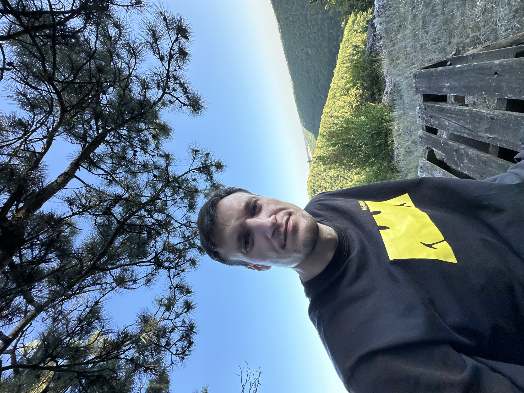 A man in a black t-shirt with a yellow graphic on it is taking a selfie outdoors. He is framed from the chest up. Behind him is a lush green valley with rolling hills, and trees. The sky is a clear, bright blue. The man appears to be standing on a wooden structure that looks like a picnic table or platform. Pine branches hang over the top of the image, partially obscuring the view of the sky. The location is the city of Pryvorottia Druhe, Ukraine.