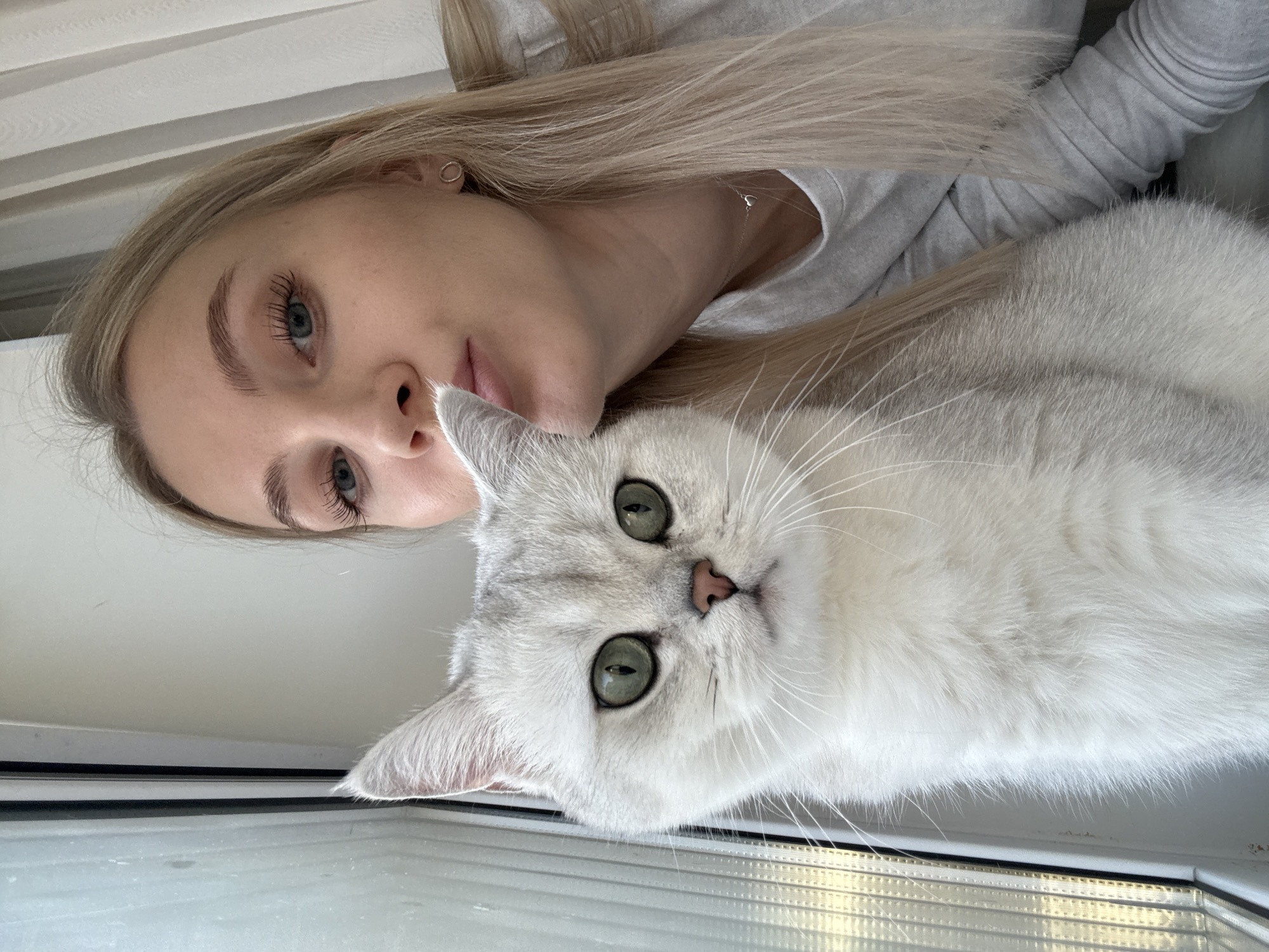 A light-skinned woman with long blonde hair and light blue eyes is lying on a white surface with a white cat. The woman is wearing a light gray shirt. The cat has short white fur, green eyes, and a pink nose. They appear to be lying on a window ledge. The location cannot be determined from the image.