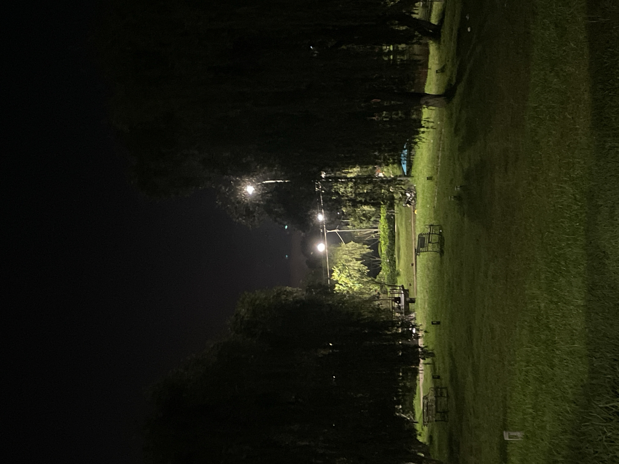The image depicts a dimly lit park at night, likely in Phường Xuân Hương, Đà Lạt, Vietnam. Tall, dark trees frame the scene, casting long shadows across a well-maintained grassy lawn. Several benches are scattered throughout the park, some appearing empty. In the mid-ground, a raised wooden platform with seating is visible. A single lamppost illuminates a section of the park, its light creating a bright spot and reflecting off the surrounding foliage. Further back, more trees and possibly some low-lying structures can be discerned. The overall atmosphere is quiet and serene, with no people visible in the frame. The dark sky suggests it is late at night.