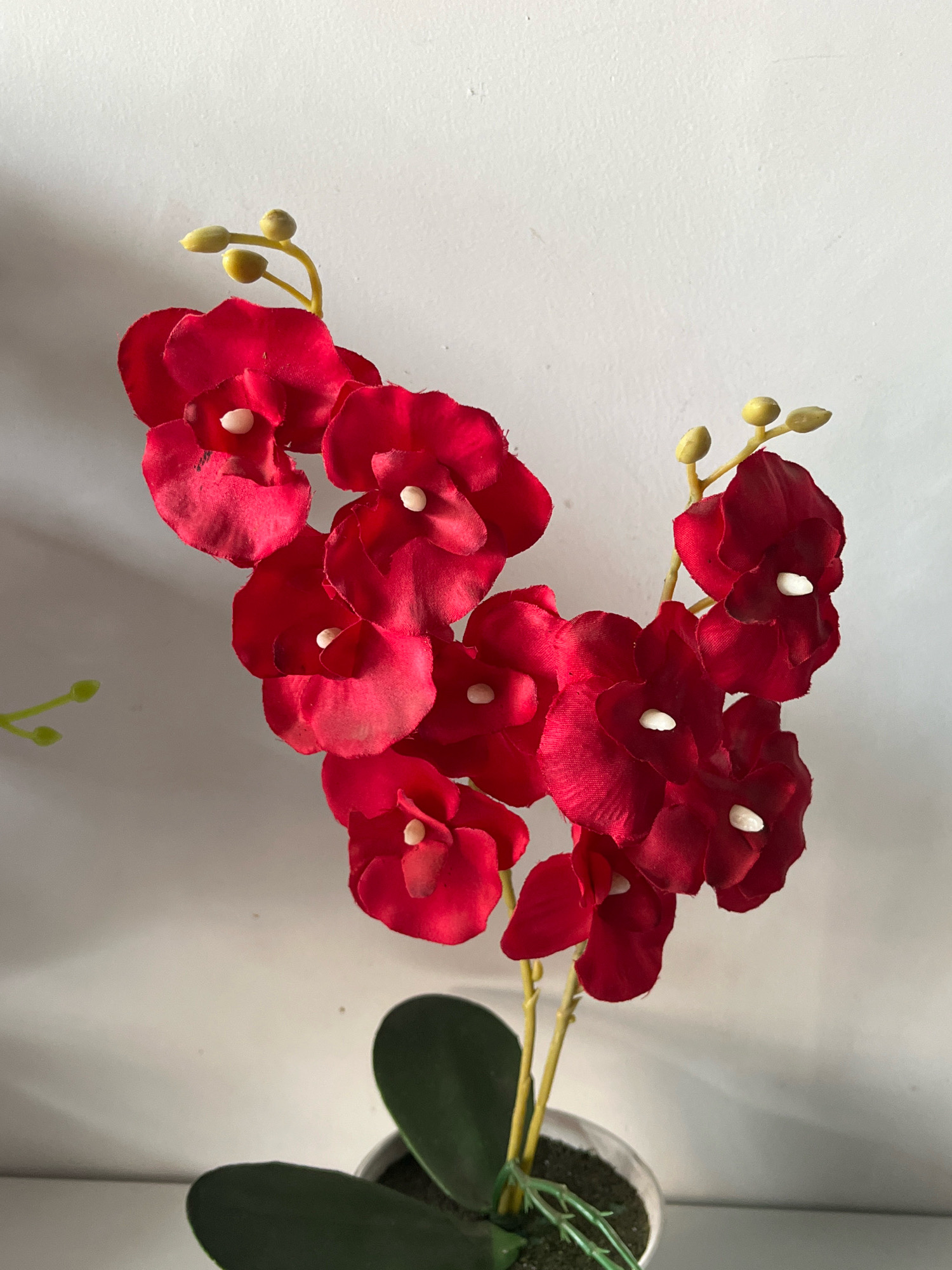 A close-up, vertical, eye-level shot shows a branch of artificial red orchids with several open blooms and a few buds, set against a plain white wall with subtle shadows. The orchids are the primary subject, with their vibrant red petals and small white centers. Two thin, yellow stems support the blossoms and buds. The lower portion of the image reveals a dark green leaf and part of a white pot with dark soil, indicating the orchids are potted. The lighting is soft, casting gentle shadows on the wall behind the flowers. The overall scene is simple and static, with no people present. There is no indication of the location being Tungkaran Pangeran, Indonesia.