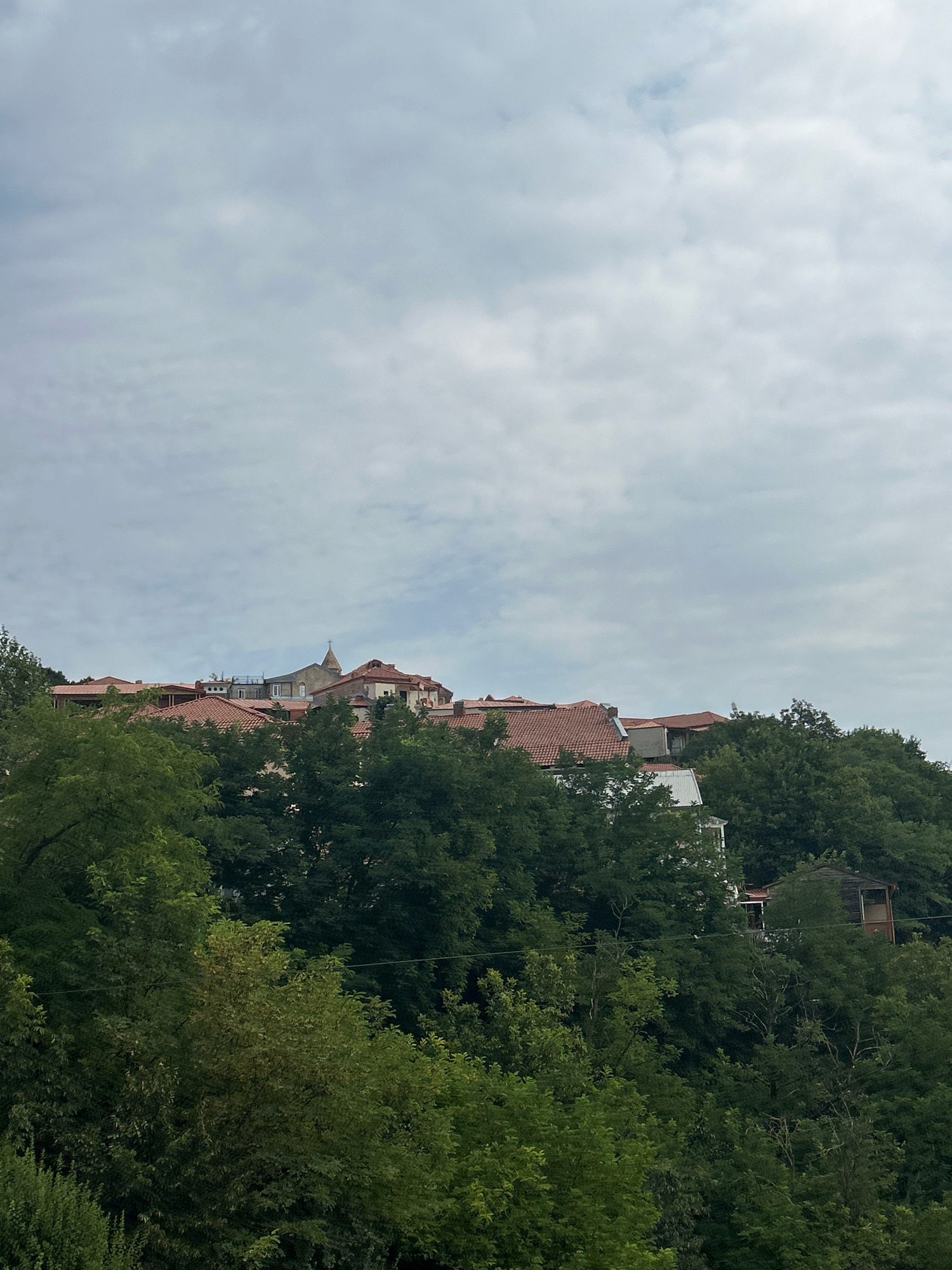 The image captures a view of Sighnaghi, Georgia, a town known for its red-tiled roofs and picturesque scenery. The foreground is dominated by lush green trees, suggesting a natural setting or a hillside location within the town. Peeking through the foliage are the rooftops of several buildings, characterized by their distinctive terracotta tiles. Among these buildings, a church steeple with a cross is visible, indicating a religious structure integrated into the town's architecture. The sky above is overcast, with a mix of light and dark clouds, suggesting a diffused daylight. The overall scene conveys a sense of a tranquil, possibly rural or semi-rural, part of Sighnaghi.