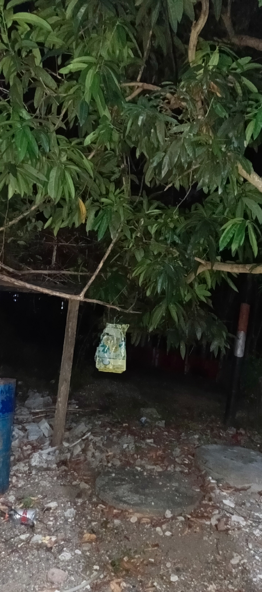 The image depicts a nighttime scene on a rural road in Pashiebeutong, Indonesia. A tree with dense green foliage dominates the upper half of the frame. Hanging from a branch of this tree is a transparent plastic bag, appearing to contain some sort of debris or food scraps. The bag is illuminated from within by an unseen light source, casting a yellowish glow.
Below the tree, the ground is littered with debris, including what appears to be broken concrete and small stones. To the left of the frame, a portion of a blue barrel is visible. A wooden post supports a horizontal branch, likely part of a makeshift structure. Further back, a red structure or wall is partially obscured by darkness. To the right, a pole with red and white markings is present. Two circular concrete structures, possibly manhole covers, are embedded in the ground towards the bottom right of the image. The overall impression is one of a neglected outdoor area at night.
