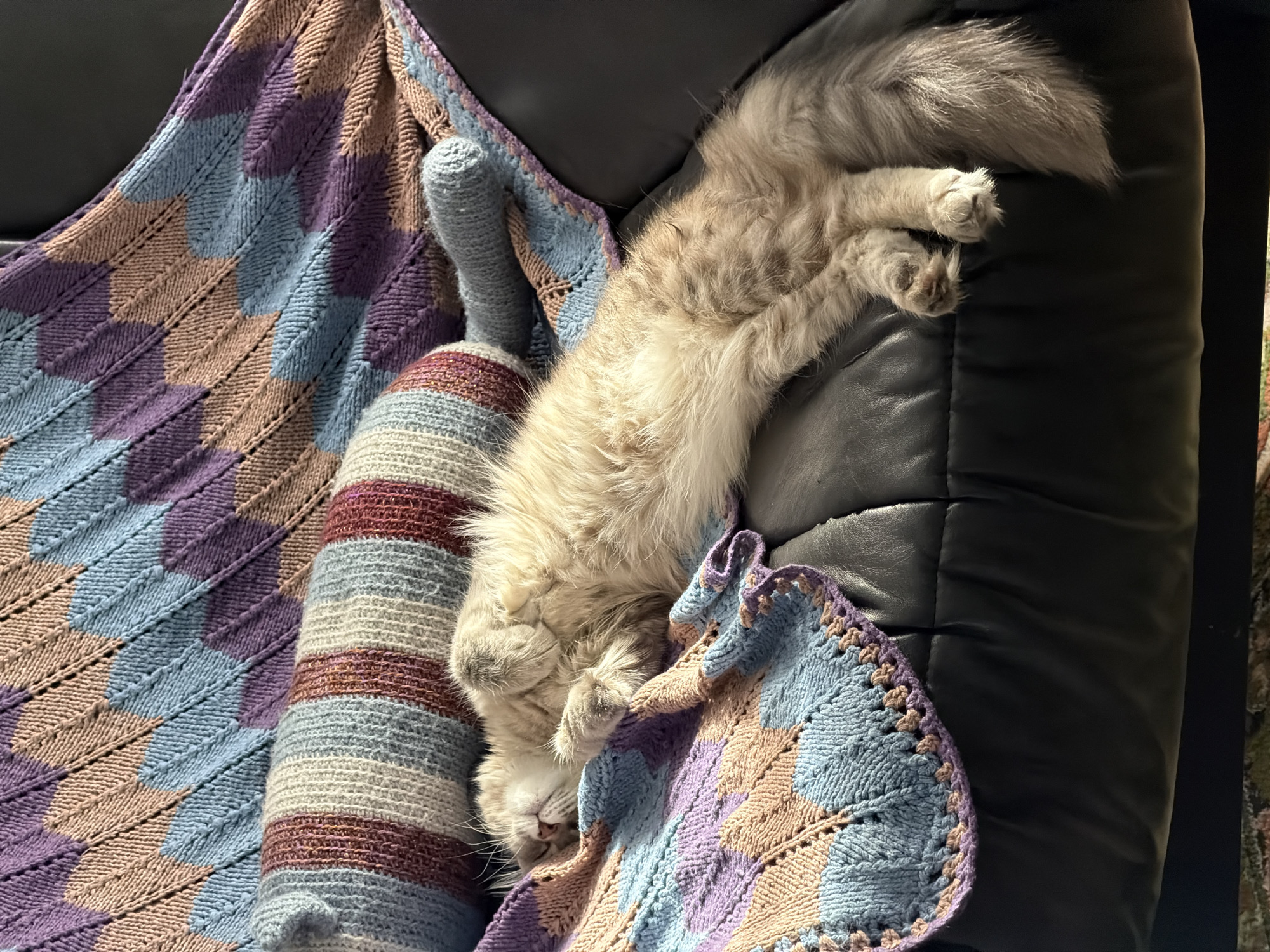 The scene is set indoors within the city of Sarapul, Russia. A long-haired domestic cat, exhibiting light brown and tan fur, is observed sleeping on its back on a dark-colored leather sofa or armchair. Its head is slightly tilted to the left, and its front paws are curled upwards, exposing its lighter-colored belly. The cat rests partially on a knitted blanket featuring a chevron or leaf-like pattern in alternating shades of purple, light blue, and light brown/peach. A cylindrical knitted bolster pillow with horizontal stripes of light blue, light grey, and reddish-brown is positioned behind the cat's head, partially obscured by the blanket. Bright, direct light illuminates the subject from the upper left, casting defined highlights on the cat's fur and the knitted textures. A glimpse of a patterned floor covering is visible at the bottom edge of the frame.
