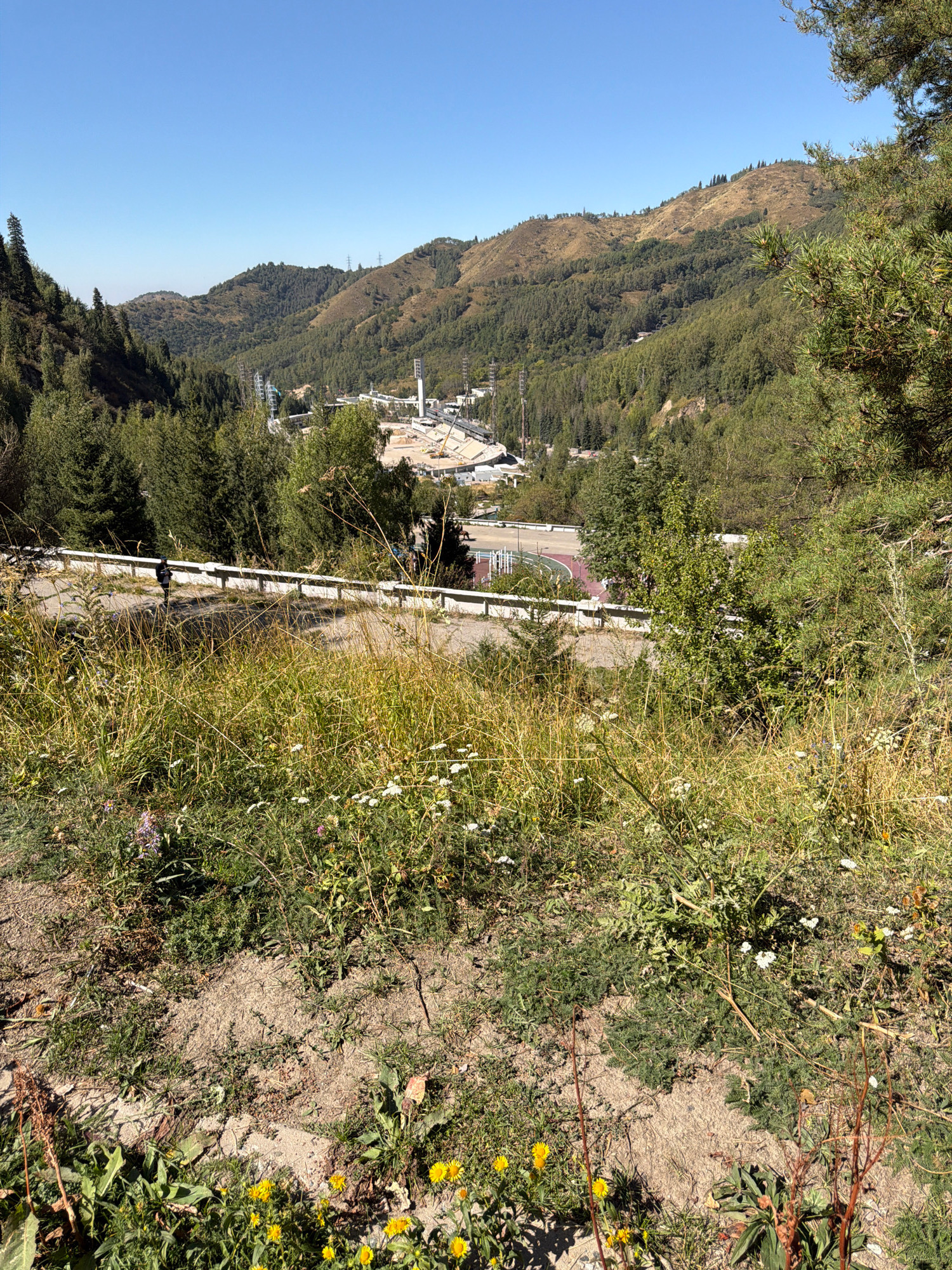 The image depicts a view from a grassy hillside overlooking a sports complex nestled within a valley of forested mountains. The foreground features a dirt path with sparse vegetation, including yellow wildflowers and dry grass. A white metal guardrail runs along the edge of a paved road that curves down into the valley. Beyond the road, a large sports facility is visible, with stadium seating and white structures. The mountains are covered in dense green trees, with some areas showing lighter, drier vegetation. The sky is clear and blue. The location is the Medeu High-Mountain Skating Rink area, outside Almaty, Kazakhstan.