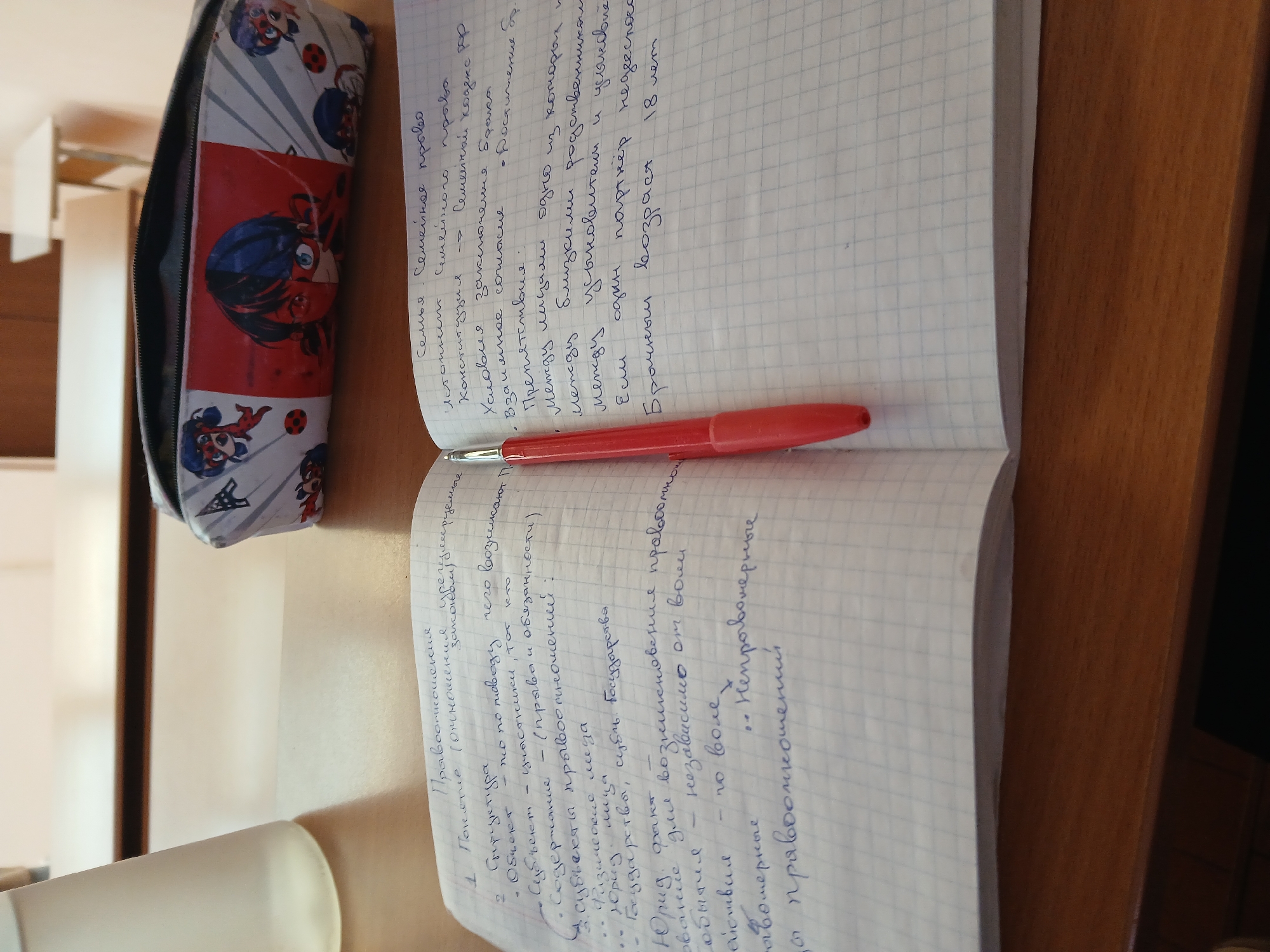 The image shows a notebook lying open on a table, with a red pen resting in the middle. The notebook pages are filled with handwritten notes in Russian on the subjects of family law and legal relationships. A pencil case with images of the cartoon character Ladybug is partially visible in the upper left corner of the frame. The background indicates an indoor setting, possibly a classroom or study area. While not explicitly stated, the language of the notes implies the location is likely in Russia, specifically a place where Russian is the language of instruction or legal practice. There's no direct indication of the city of Chaikovsky, Russia.