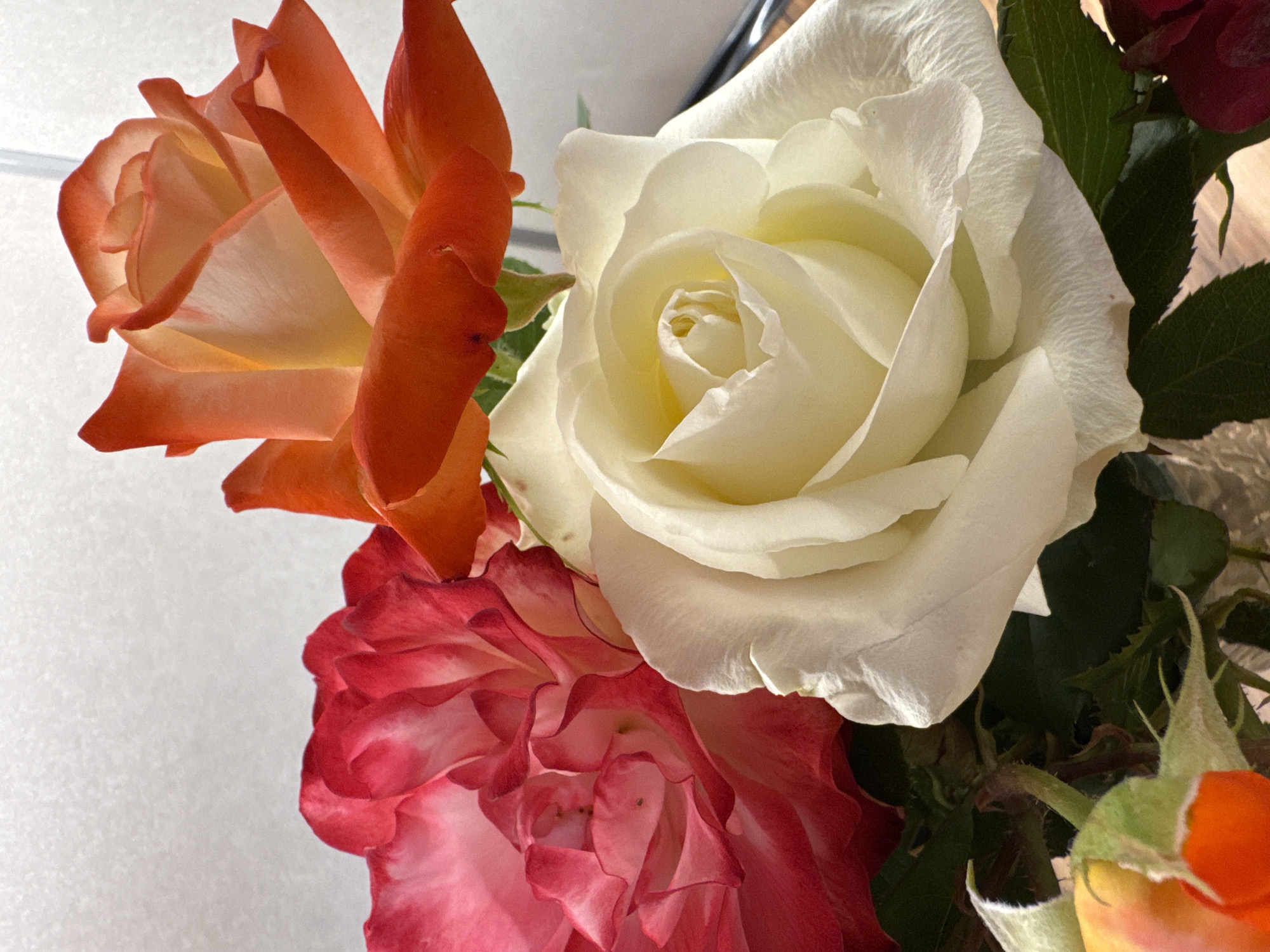 This is a close-up, eye-level, indoor photograph of a bouquet of roses. Three prominent roses are visible, along with parts of others. The rose in the foreground is a creamy white, with tightly furled petals in the center and more open, slightly wavy petals on the exterior. To the left and slightly behind it is a rose with deep red outer petals that fade to a lighter pink and white towards the center. A third rose, positioned above and to the right of the white rose, is a vibrant orange with lighter, almost yellow edges. The roses are arranged in a bouquet, with dark green leaves visible around their stems. The background is a textured, light-colored surface, possibly a wall, with a vertical white element, perhaps a window frame or part of a curtain rod, on the far right. The lighting appears to be natural, casting soft shadows and highlighting the delicate textures of the rose petals. There are no people or animals present in the image. The image quality is good, with sharp focus on the roses. The photograph appears to be taken in a domestic setting, possibly a home or a flower shop, and is not identifiable as being located in the city of Mikhaylovsk, Russia.