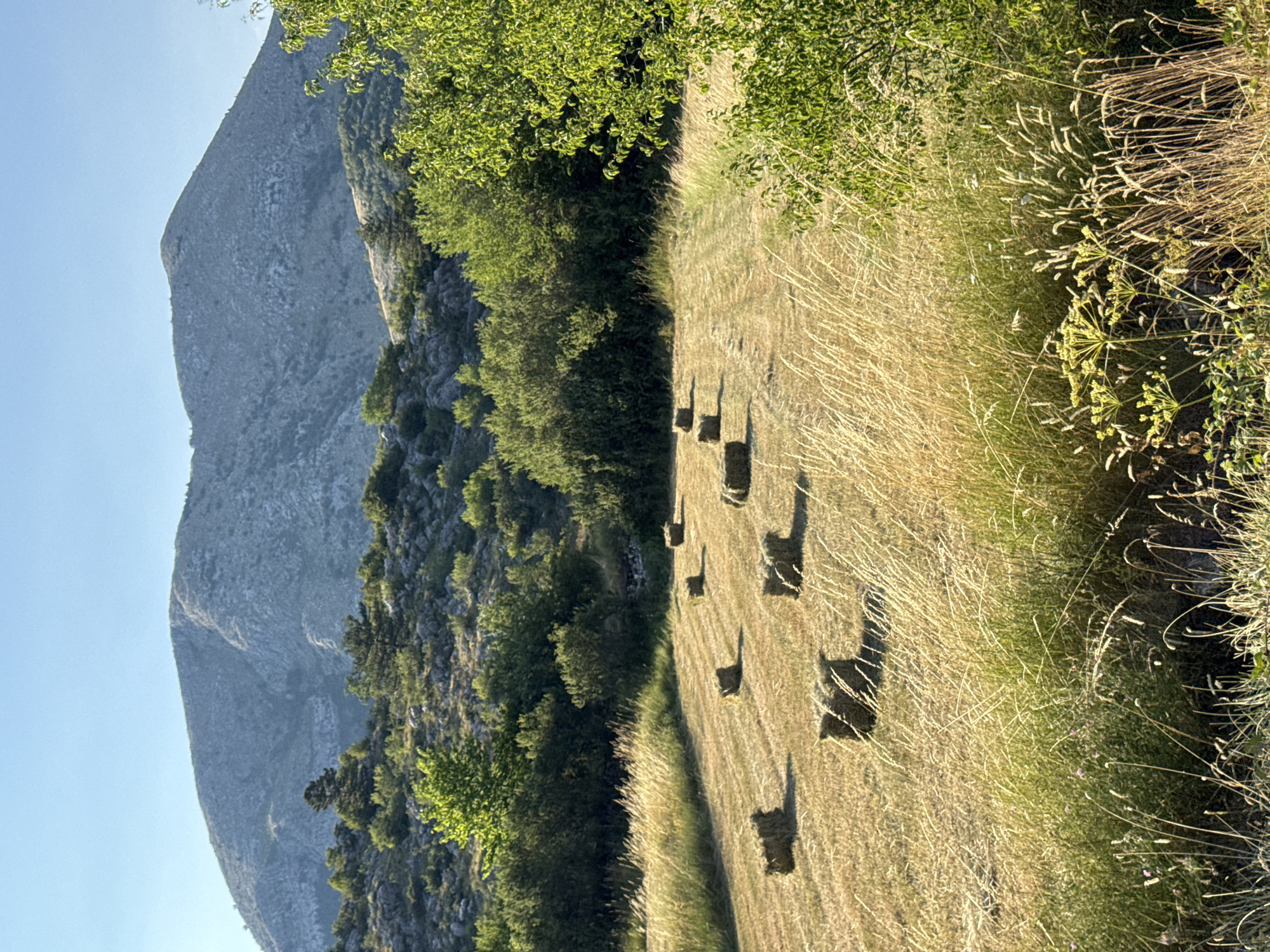 The image depicts a rural landscape in Kopito, Montenegro. In the foreground, a mown field is dotted with several rectangular bales of hay, arranged in rows. Tall, dry grass grows along the edges of the field and in the foreground. Behind the field, a dense line of green trees forms a transition to the background. Beyond the trees, a large, rocky mountain dominates the horizon, its slopes sparsely vegetated. The sky above is clear and blue. The scene is illuminated by bright sunlight, casting shadows from the hay bales.