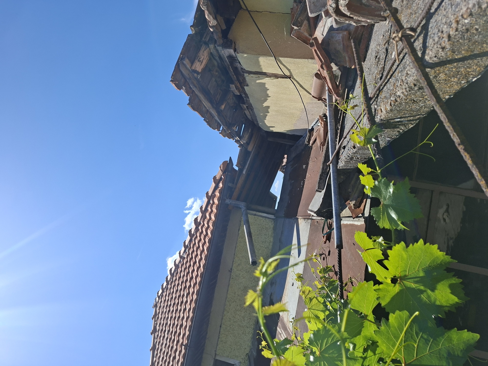 This is a slightly angled, upward-facing photograph of a damaged building under a clear blue sky with some wispy clouds. The building appears to be old and in disrepair, with a broken tiled roof and exposed wooden beams. Vines with bright green leaves are growing up the side of the building, partially obscuring some of the damage. The sun is shining brightly, casting lens flare on the left side of the image and highlighting the vibrant green of the leaves. The scene suggests a warm, sunny day. The building's deterioration implies neglect or the aftermath of some event, but there are no people or clear indications of a specific activity taking place. The overall impression is one of decay and nature reclaiming an abandoned structure. The location is identified as Bojuritsa, Bulgaria.
