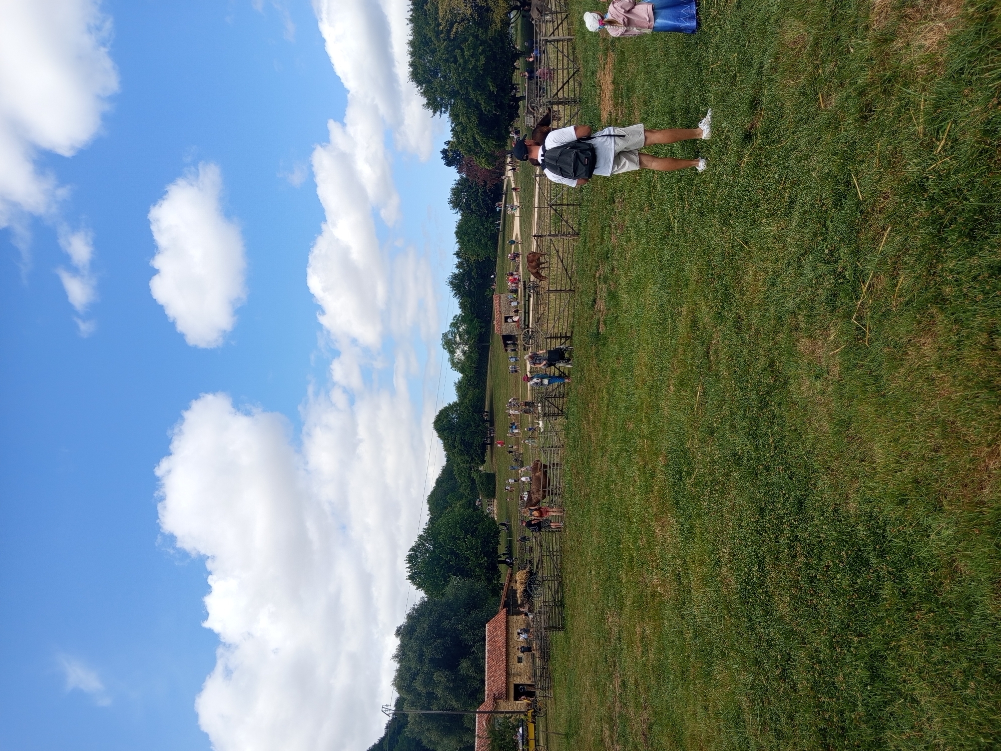 The image depicts a rural scene in Azannes-et-Soumazannes, France, likely a historical reenactment or a farm attraction, under a partly cloudy blue sky. In the foreground, two individuals stand on a grassy field. A man wearing a white t-shirt, grey shorts, and a black backpack faces away from the camera, looking towards a fenced enclosure. To his right, a young girl in a pink jacket and a blue dress stands facing the same direction.
The enclosure in the mid-ground contains several people, wooden fences, and animals. A brown horse is visible within the enclosure, and further back, a building with a terracotta tiled roof and stone walls stands. Various other people are dispersed throughout the mid-ground, some appearing to interact with the animals or observe the scene. A horse-drawn cart is parked near the building. The background consists of a line of mature green trees and a gently sloping hill. The overall impression is a lively outdoor gathering in a pastoral setting.