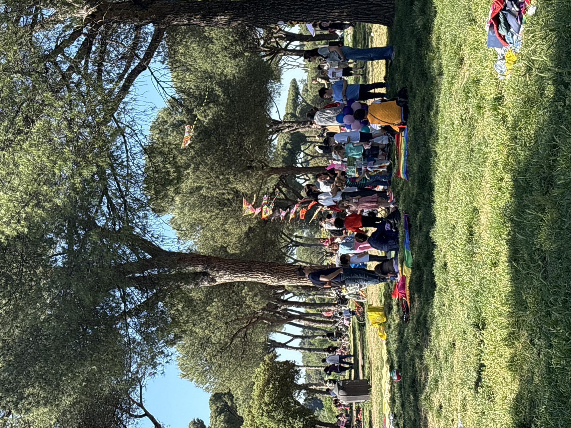 The image depicts a gathering of people in a park-like setting, likely in Rome, Italy, given the prevalence of umbrella pine trees, a common feature of the Roman landscape. A large group of people are seated on the grass, possibly for a picnic or an event. Many are visible from the waist up, showing a variety of clothing styles and colors. Some individuals are standing on the periphery of the group. A line of bicycles is parked along the edge of the grass.
The foreground is dominated by lush green grass, with a scattering of items such as clothes and bags. Above, a row of mature pine trees provides shade and creates a canopy over the scene. Decorations, possibly flags or banners, are strung between the trees. The sky is visible in patches through the branches.