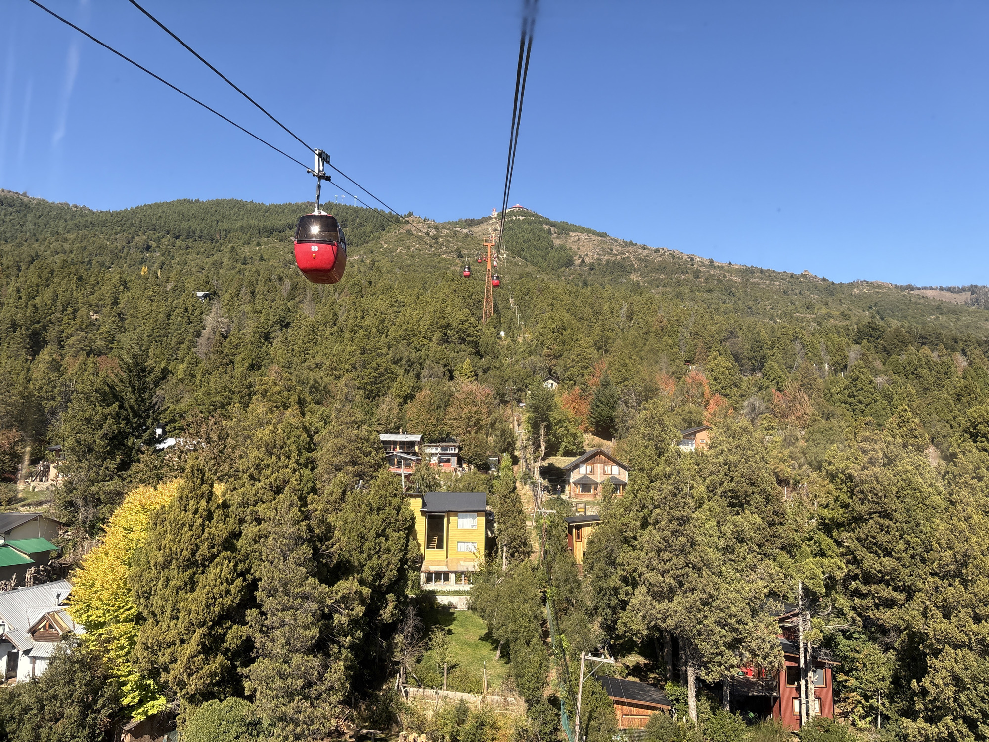 The image displays an outdoor scene depicting a cable car system ascending a densely forested mountain under a clear, unobstructed blue sky. The location is San Carlos de Bariloche, Argentina. In the central foreground, a red cable car gondola, marked with the number "28" on its side, is suspended from a pair of dark overhead cables. These cables extend diagonally upwards from the lower left to the upper right of the frame. Further along the ascent, multiple additional red gondolas are visible, including one approaching an orange metal support tower.
The steep mountain slopes are extensively covered by a mix of evergreen and deciduous trees. Patches of yellow and orange foliage from deciduous trees are interspersed among the dominant green evergreens, particularly in the mid-ground. Numerous residential buildings, primarily houses and cabins constructed with wooden exteriors and roofs of various colors (dark grey, green, red), are integrated into the forested hillside below the cable car line. A distinct bright yellow multi-story house is visible in the mid-lower right quadrant. No people are visible within the gondolas or on the ground. The scene is illuminated by direct sunlight, indicating clear weather conditions.