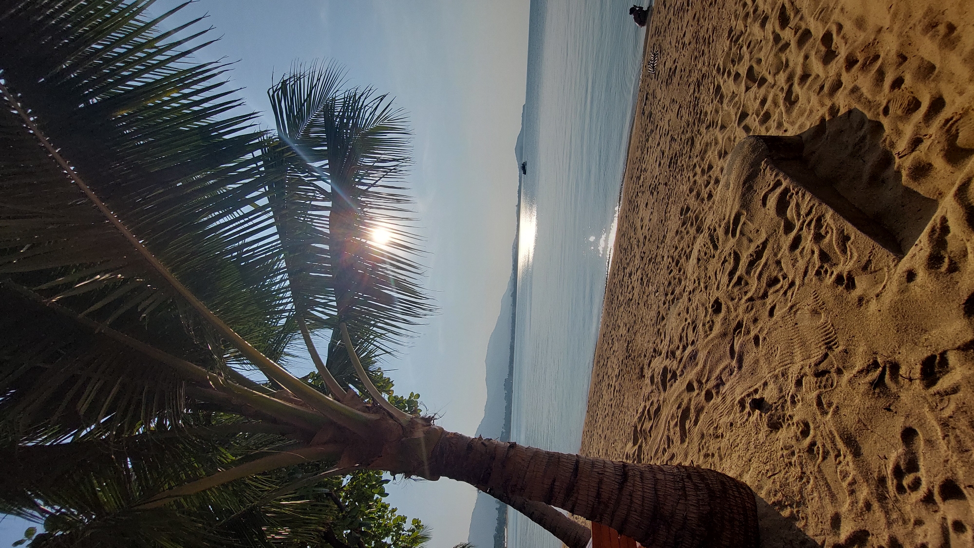 A sun-drenched tropical beach scene in Baan Bo Phut, Thailand, is captured in this wide shot. A mature palm tree dominates the left side of the frame, its fronds partially obscuring the bright sun. The trunk of the tree angles towards the lower center of the image. The scene transitions to a serene expanse of calm, light-blue ocean that reaches the horizon. A few distant land masses are visible on the horizon. A narrow strip of sandy beach runs along the right side of the image, marked with numerous footprints and the cast shadows of unknown objects. In the distance, a few indistinct figures appear to be situated on the beach.