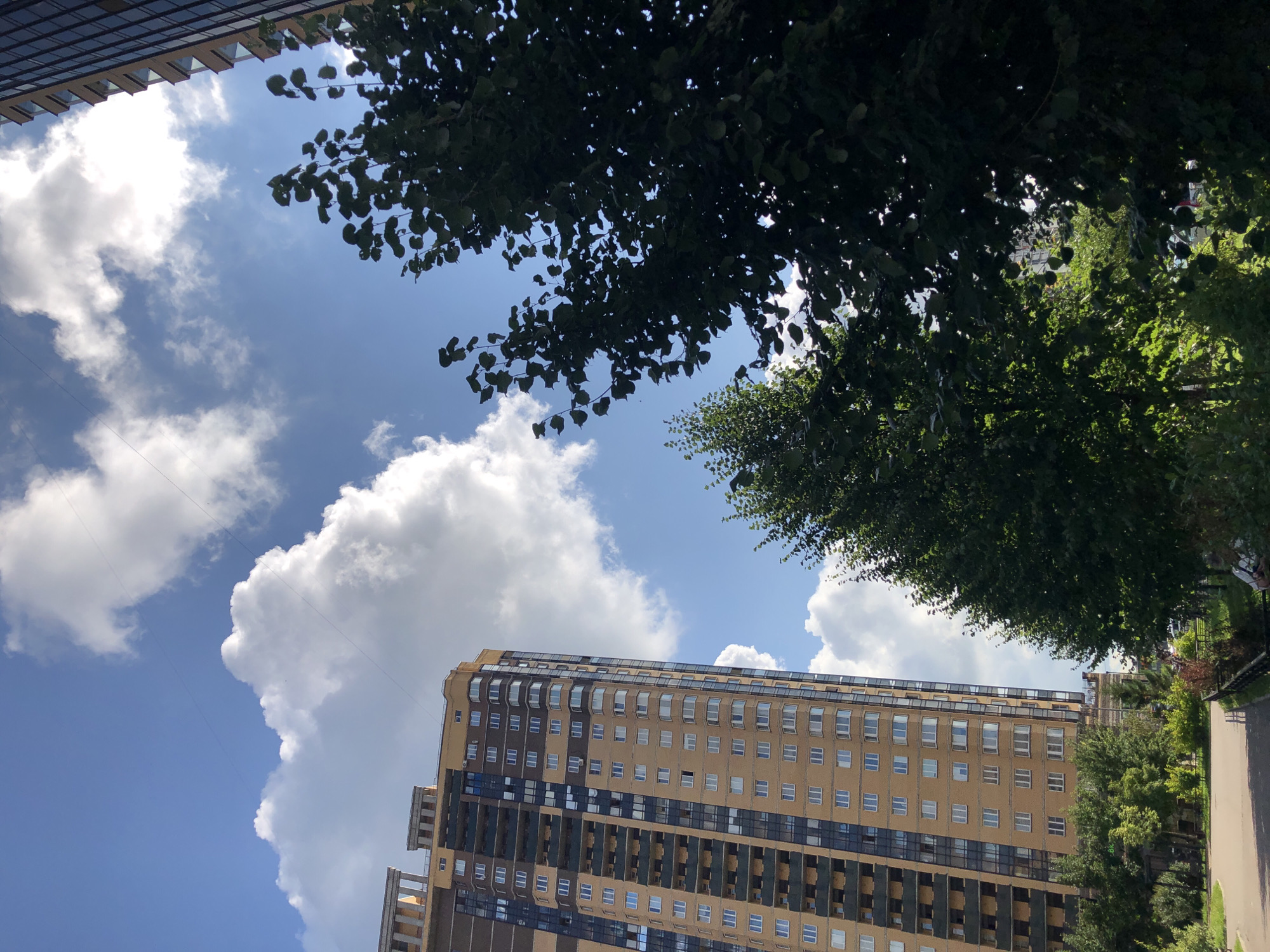 A tall, modern apartment building, predominantly yellow and brown with dark windows and balconies, stands prominently on the left side of the frame, reaching towards a bright blue sky dotted with fluffy white clouds. In the foreground and mid-ground, lush green trees with dense foliage partially obscure the view of the building and the sky. The trees on the right are darker and more prominent, casting shadows and creating a sense of depth. A paved walkway or road curves into the scene from the lower left. The scene appears to be an urban environment on a clear day, with a focus on the interplay between architecture and nature. The specific location is Unknown, Unknown.