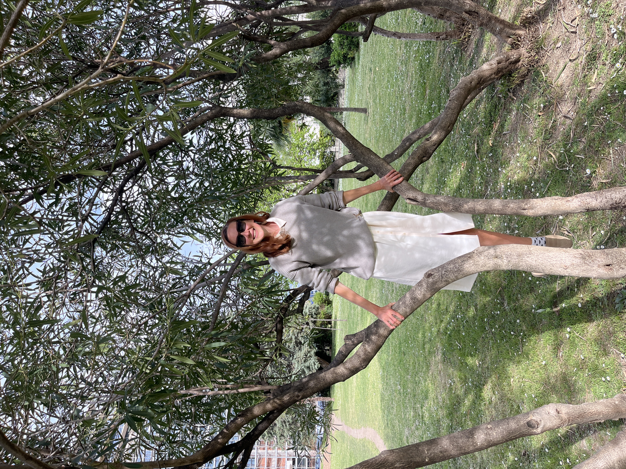 A young woman stands in a tree, holding onto two thick, horizontal branches. She wears a gray sweater, a white skirt, and sunglasses. The tree has dense green foliage, partially obscuring a view of a green grassy area dotted with small white flowers. In the background, a building can be seen. This image was taken in Budva, Montenegro.