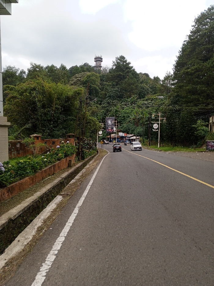 The image depicts an uphill asphalt road in Ciloto, Indonesia, under an overcast sky. The road features a solid white line defining the left shoulder and a solid yellow line separating traffic lanes further ahead.
On the immediate left, a concrete drainage ditch runs parallel to the road, followed by a low, weathered orange-brown concrete retaining wall. Behind this wall, green foliage with clusters of purple and blue flowers (consistent with hydrangeas) is visible. Further up the left incline, dense green trees and vegetation cover a hillside, punctuated by a utility pole with overhead wires. A light-colored building structure is partially visible on the far left edge.
On the right side of the road, a narrow dirt and grass shoulder transitions into more dense green vegetation. Further down, a cluster of small commercial stalls or shops with varied roofs and signage is present. Two white decorative streetlights are visible on the right, and a large black billboard-style sign on a pole stands near the shops. A section of graffiti or painted markings is discernible on a concrete surface on the far right.
Traffic on the road consists of at least two vehicles traveling away from the viewer in the right lane: a dark-colored SUV or hatchback followed by a white van or minivan. A motorcycle is partially visible behind the dark-colored vehicle. Additional vehicles may be present further down near the shops.
In the background, a prominent hill is densely covered with dark green forest. A multi-tiered, light-colored telecommunications or observation tower is situated on the summit of this hill, rising above the tree line. The sky is uniformly grey with thick clouds.
