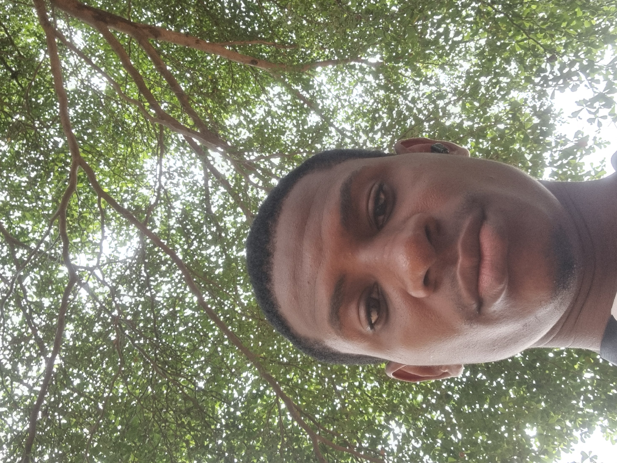The image is a vertical, close-up selfie of a man, taken from a low angle looking upwards into a tree canopy. The man's face occupies the right side of the frame, with his head slightly tilted. He has dark skin, short dark hair, and a neutral expression, looking directly towards the camera. A dark earbud is visible in his left ear (viewer's right).
The background is dominated by a dense canopy of green leaves and tree branches, indicative of a lush, wooded environment. Bright sunlight filters through the leaves, creating a dappled light effect and highlighting the vibrant green foliage against a bright sky. The branches are visible, suggesting a mature tree structure.
The scene depicts a moment of leisure or self-portraiture outdoors, under the shade of trees. The bright light suggests it is daytime, likely a sunny morning or afternoon. The dense, green vegetation is consistent with landscapes found in regions like Onitsha, Nigeria. No text is visible in the image.