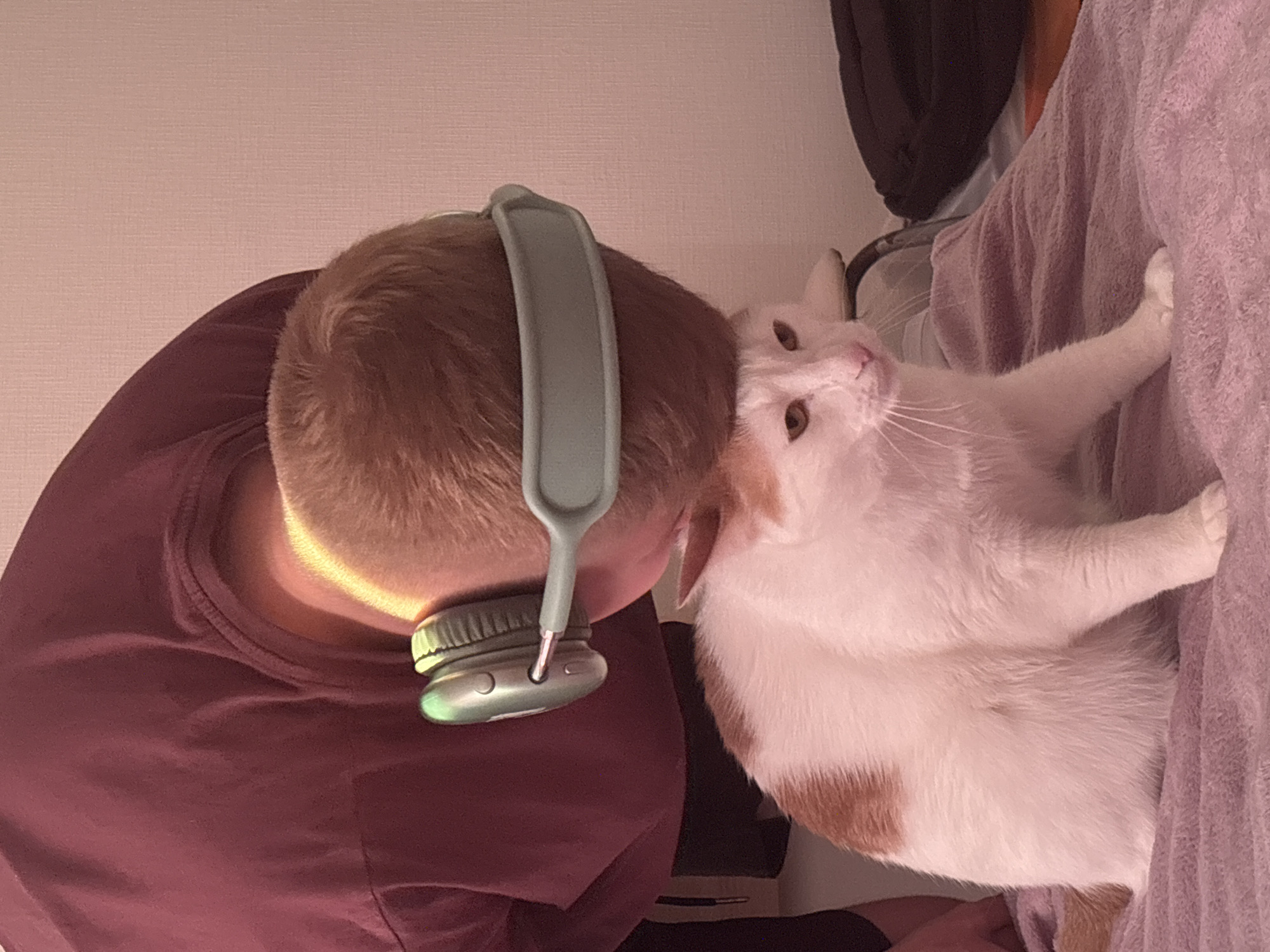 An indoor scene depicts a person and a cat in close, affectionate proximity. The image is oriented vertically, with the person on the left and the cat on the right.
The person, whose back of the head is visible, has short, light-colored hair and wears light teal over-ear headphones. They are wearing a reddish-brown t-shirt. A warm, golden light illuminates the back of their head, casting a soft glow.
To the right of the person's head is a white cat with distinct orange or light brown patches, one prominent on its lower body. The cat has amber-colored eyes and long white whiskers, and it is looking upwards and slightly away from the camera. Its body is pressed against the person, suggesting a bond or desire for companionship. One of the cat's front paws is visible, resting on a soft, textured purple or lavender fabric.
The background consists of a plain, light-colored wall, possibly pinkish-beige, and the aforementioned purple fabric, which appears to be a blanket or bedding. Some dark, indistinct objects are partially visible in the upper right corner of the frame.
The overall atmosphere is cozy and intimate, conveying a sense of comfort and a close relationship between the pet and its owner. There is no visible text in the image. The scene takes place indoors, with artificial lighting, in Sinyavino, Russia.