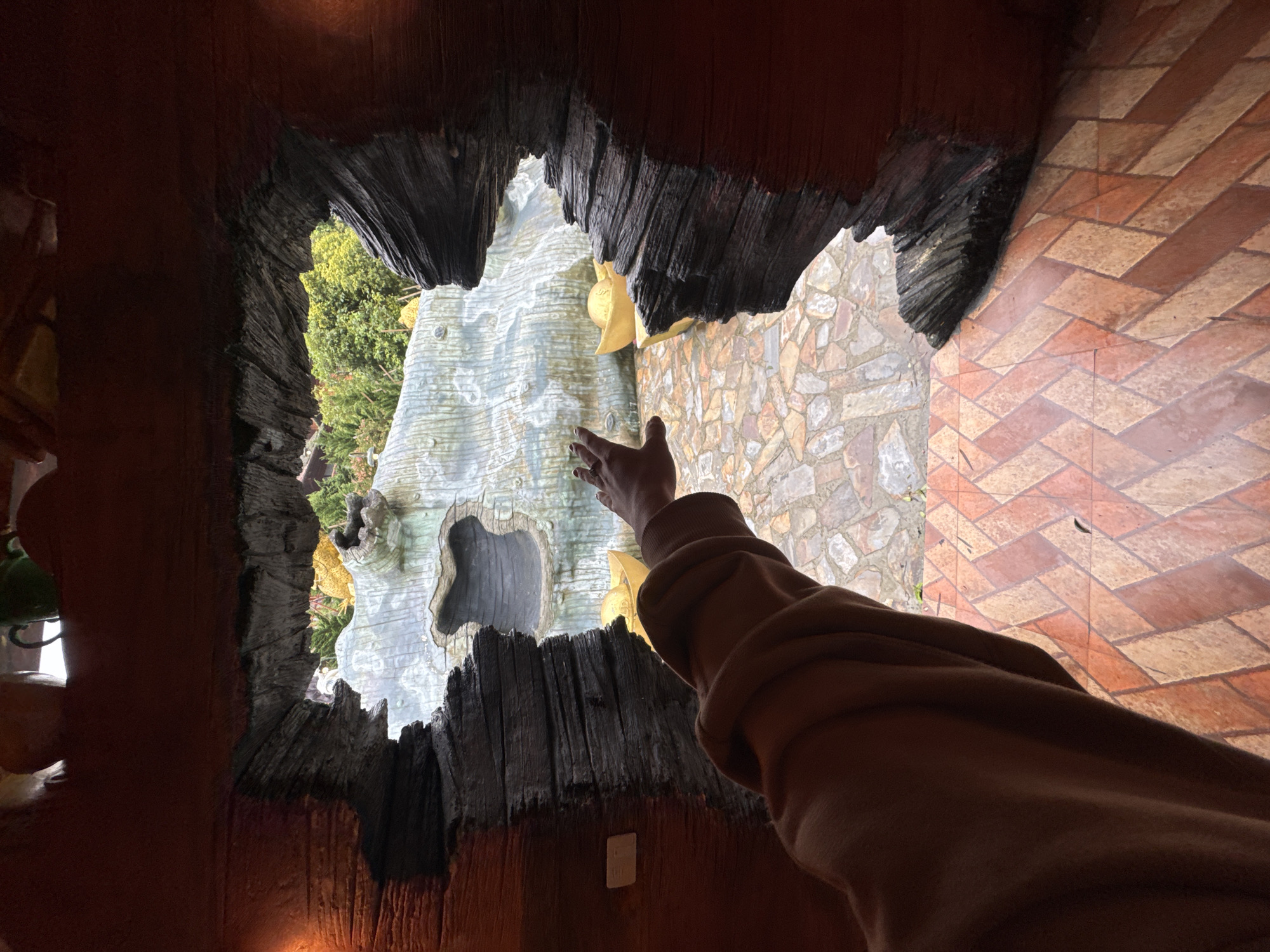 A low-angle indoor shot features a person's arm and hand reaching out through a jagged, dark-edged opening. The opening reveals an exterior scene of light-colored, tree-like structures with yellow accents, and tiled flooring. The interior surfaces framing the opening are dark and textured. The scene is consistent with Crazy House in Binh Lu, Vietnam.