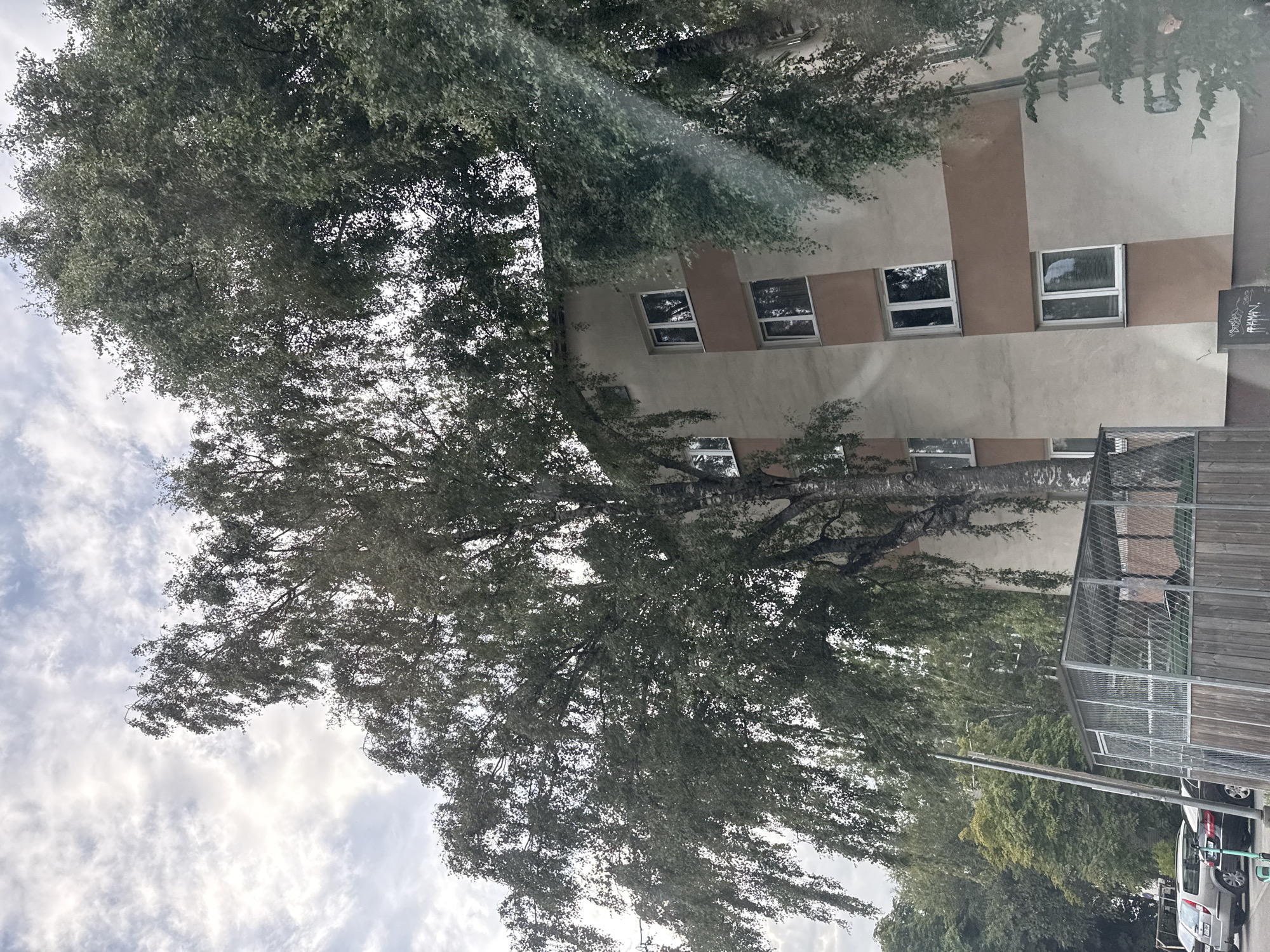 The image shows a tall birch tree in front of a multi-story apartment building. The building has a light beige facade with horizontal brown bands. There are several windows visible on the building, some with blinds. To the left of the birch tree, there are other trees and parked cars. In the foreground, there is a fenced enclosure with wooden sides and a metal roof, possibly a bike shelter or storage area. The sky is cloudy with patches of blue. The scene appears to be in a residential area in Tallinn, Estonia.