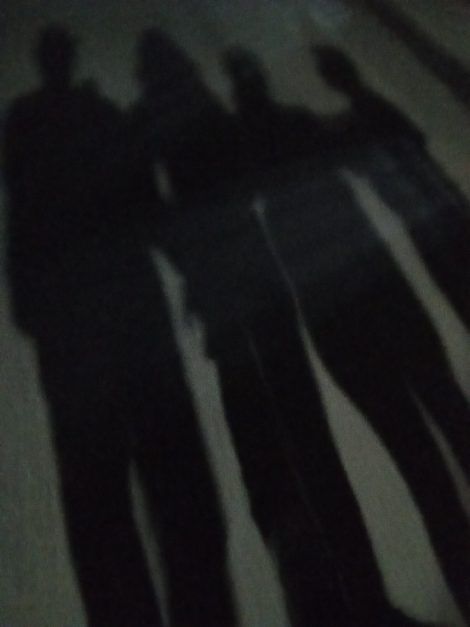 The image shows the shadows of four people cast on a light-colored surface. The scene appears to be at night, given the darkness and the distinct shadows. There is no specific information connecting the image to Juan Griego, Venezuela.