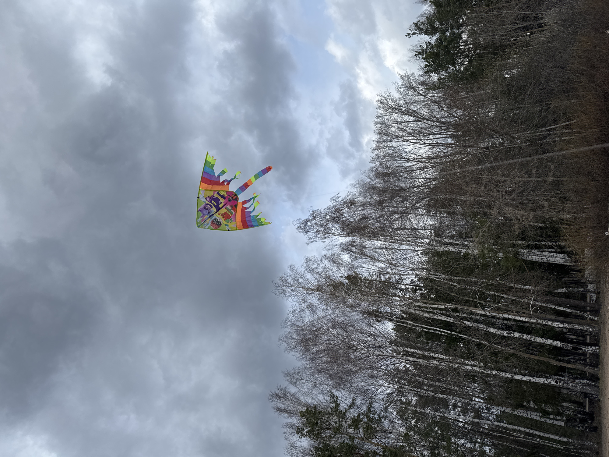The image shows a kite flying against a cloudy sky. The kite is colorful with rainbow stripes and cartoon-like figures. Trees with bare branches are visible on the right side of the frame. The scene suggests an outdoor location, possibly a park or open area. Based on the information provided, the location may be near Noviy, Russia, but this cannot be verified from the image alone. No people are visible in the image.