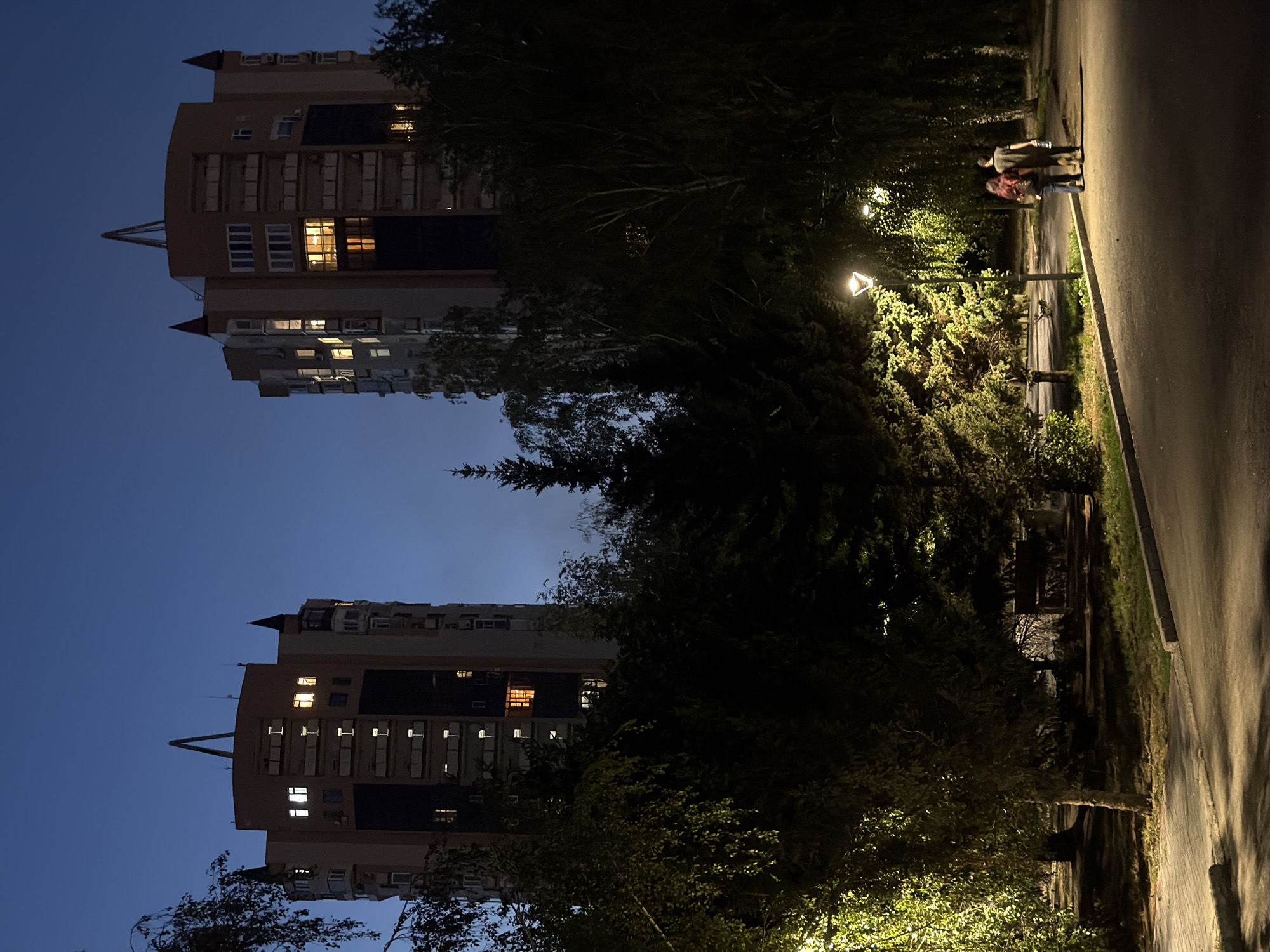 A dusk scene features two tall apartment buildings with lit windows, positioned behind a dark, densely treed park. A paved walkway runs through the park, illuminated by streetlights. Two individuals, a man and a woman, walk away from the camera on the walkway. The man wears a dark t-shirt and pants, and the woman wears a dark top and jeans. The woman carries a bottle in her right hand. The architecture of the buildings, particularly the pointed embellishments on their roofs and the segmented windows, suggests they are located in Pavlodar, Kazakhstan.