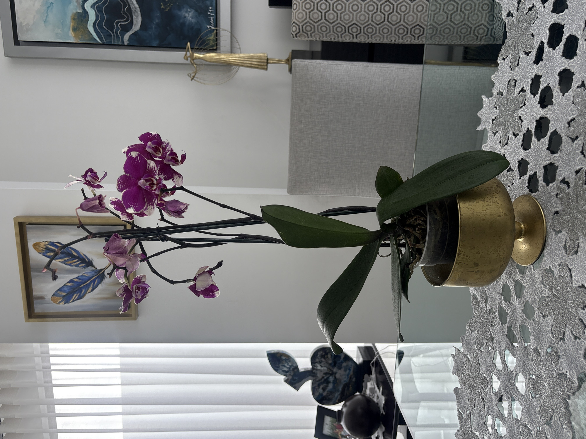 The image captures an interior scene, focusing on a vibrant purple and white orchid plant. The orchid, with its green leaves and numerous blooms, is potted in a decorative brass footed planter and rests on a reflective glass table. To the right of the orchid, a detailed grey and silver lace-patterned placemat or runner with snowflake-like designs covers a section of the table.
In the background, a light-colored wall is visible, adorned with a framed painting featuring blue and gold feathers against a light background. Faint text, resembling a signature and year such as "Romero '19", can be seen on this artwork. Adjacent to the painting, a golden metallic, fan-shaped decorative item is mounted on the wall. Further into the background, part of a dining chair with a light grey fabric backrest is visible, behind which is a wall covering or upholstered panel with a repeating grey geometric hexagonal pattern.
The bottom portion of the image shows white horizontal window blinds, allowing natural daylight to stream in, indicating it is daytime. The reflective glass table creates mirrored images of the surroundings. The overall setting is a tastefully decorated indoor space, possibly a dining area or living room, located in San Bernardino Tlaxcalancingo, Mexico. No activity is taking place.