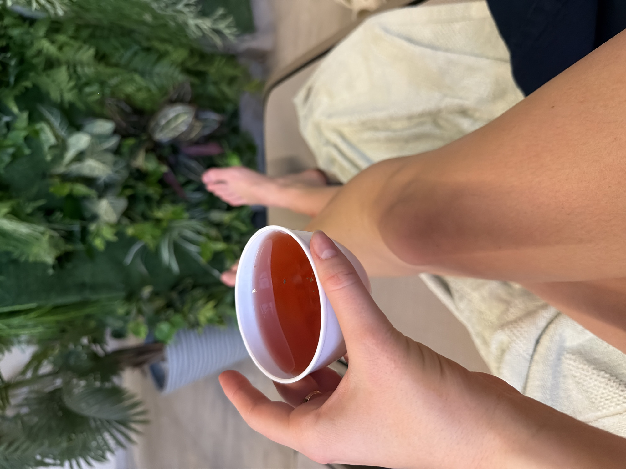 A person is holding a white cup filled with a reddish-brown liquid, presumably tea, in an indoor setting. The individual is seated, with their bare leg visible. They are wearing a ring on their finger. To the left of the person, there is an array of lush green plants arranged in pots. A neutral-colored blanket or towel is draped over the chair. It is not possible to determine if the location is in the city of Moscow, Russia from the available visual information.