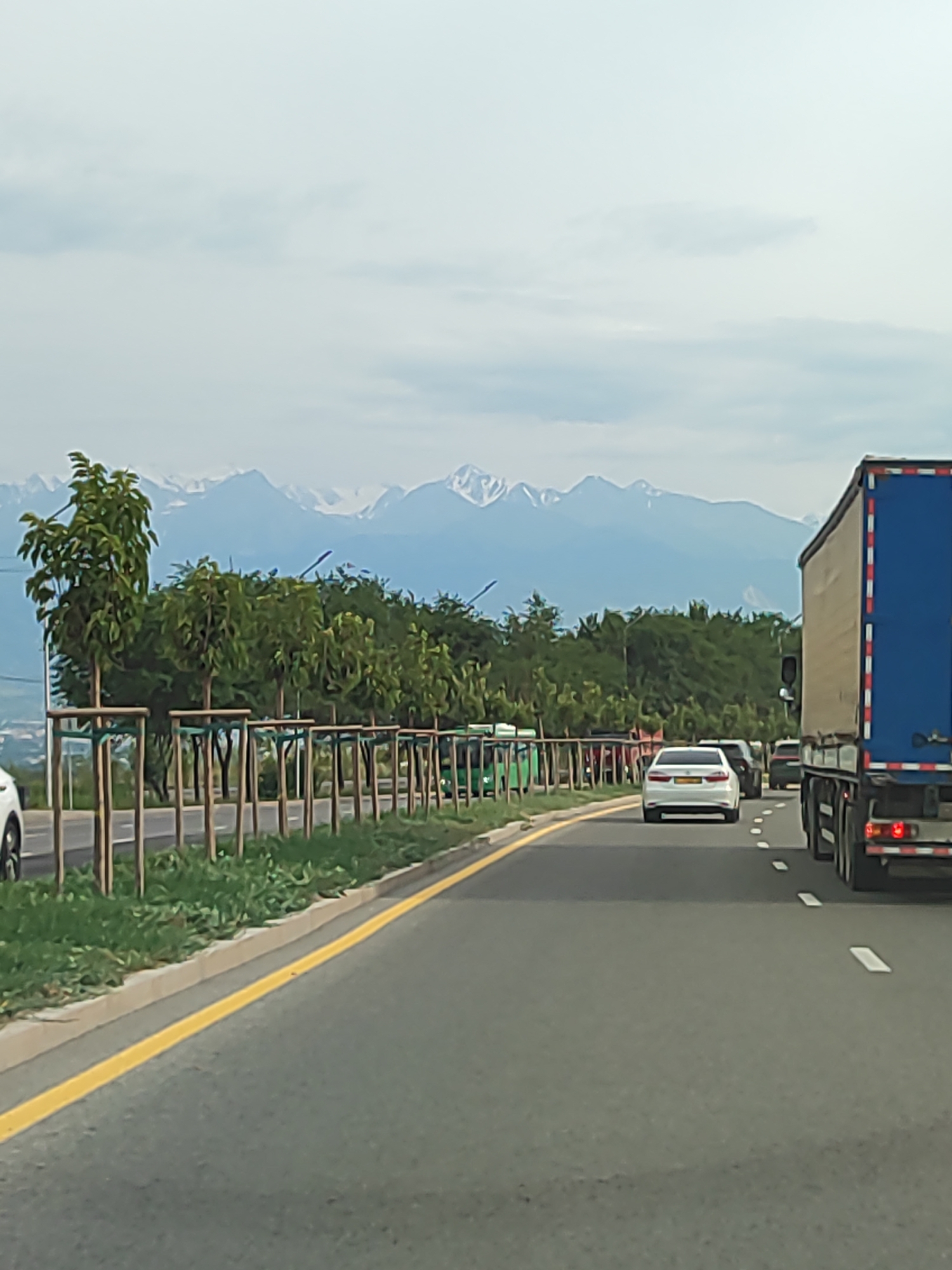 The image depicts a highway scene in Almaty, Kazakhstan, with snow-capped mountains visible in the background. In the foreground, a blue and red semi-trailer truck is driving on the right side of the road. A white sedan is in front of the truck, followed by another dark-colored SUV. A row of young trees, supported by wooden stakes and green netting, lines the left side of the highway. The road is paved with asphalt and has a yellow line marking the edge. The sky is overcast with light clouds. The overall impression is one of a typical day on a major road leading into or out of the city, with the majestic mountain range serving as a dramatic backdrop.