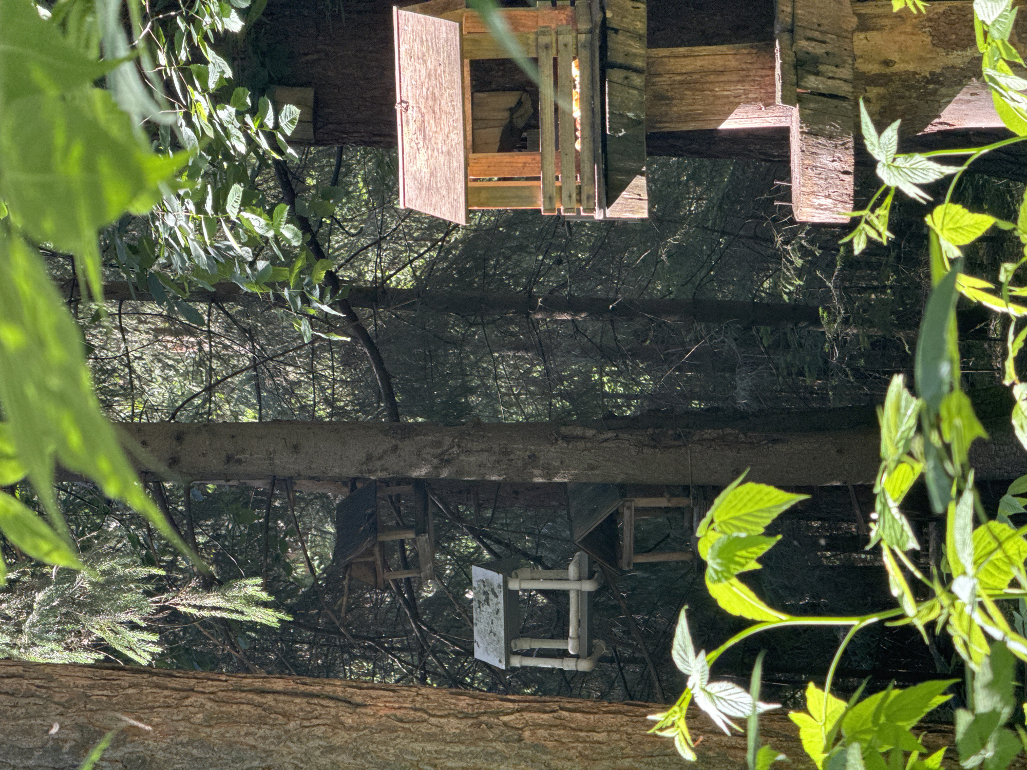 The image depicts an outdoor scene in a wooded area, possibly Votkinsk, Russia. The photograph is oriented such that the top of the image appears at the bottom and vice-versa.
Dominating the upper portion of the image (which is actually the lower part of the scene) are several wooden structures that resemble birdhouses or feeding stations. One prominent structure has an open door made of wooden planks, revealing a glimpse of its interior. This structure appears to be attached to a larger wooden beam. Other similar wooden constructions are visible, some with slanted roofs and open sides. These structures are set against a backdrop of dense trees with dark bark and a thick canopy of leaves, suggesting a forest environment. Sunlight filters through the leaves, creating areas of light and shadow.
In the lower portion of the image (actually the upper part of the scene), lush green foliage with broad leaves is in the foreground, partially obscuring the view of the wooden structures and the forest beyond. These leaves are illuminated by sunlight, giving them a vibrant, almost translucent appearance. A thick tree trunk, rough in texture, runs horizontally across the very bottom of the frame, adding to the natural, woodland setting.
The overall impression is that of a quiet, natural setting, likely during daylight hours given the strong sunlight and shadows. The image doesn't appear to depict any people or specific events, but rather a static scene of man-made structures integrated into a forest landscape. There is no visible text in the image.