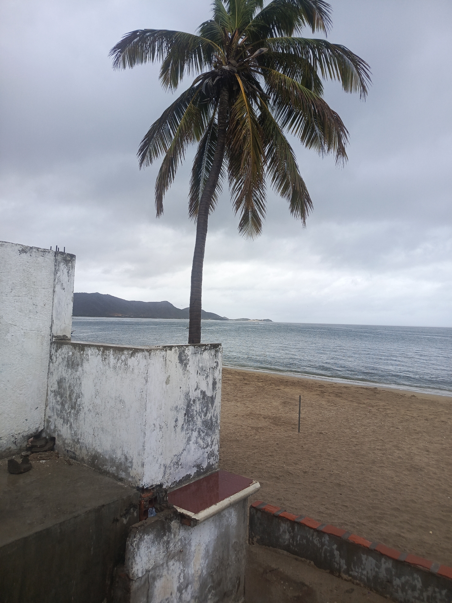 A scene at a beach in Juan Griego, Venezuela, features a palm tree standing tall against a cloudy sky. The ocean stretches to the horizon, with waves gently lapping at a sandy shore. In the foreground, a weathered concrete structure, likely part of a building or wall, shows signs of decay with peeling paint and exposed brick. The overall atmosphere is somber due to the overcast sky and the dilapidated state of the foreground structure, contrasting with the natural beauty of the beach and sea.