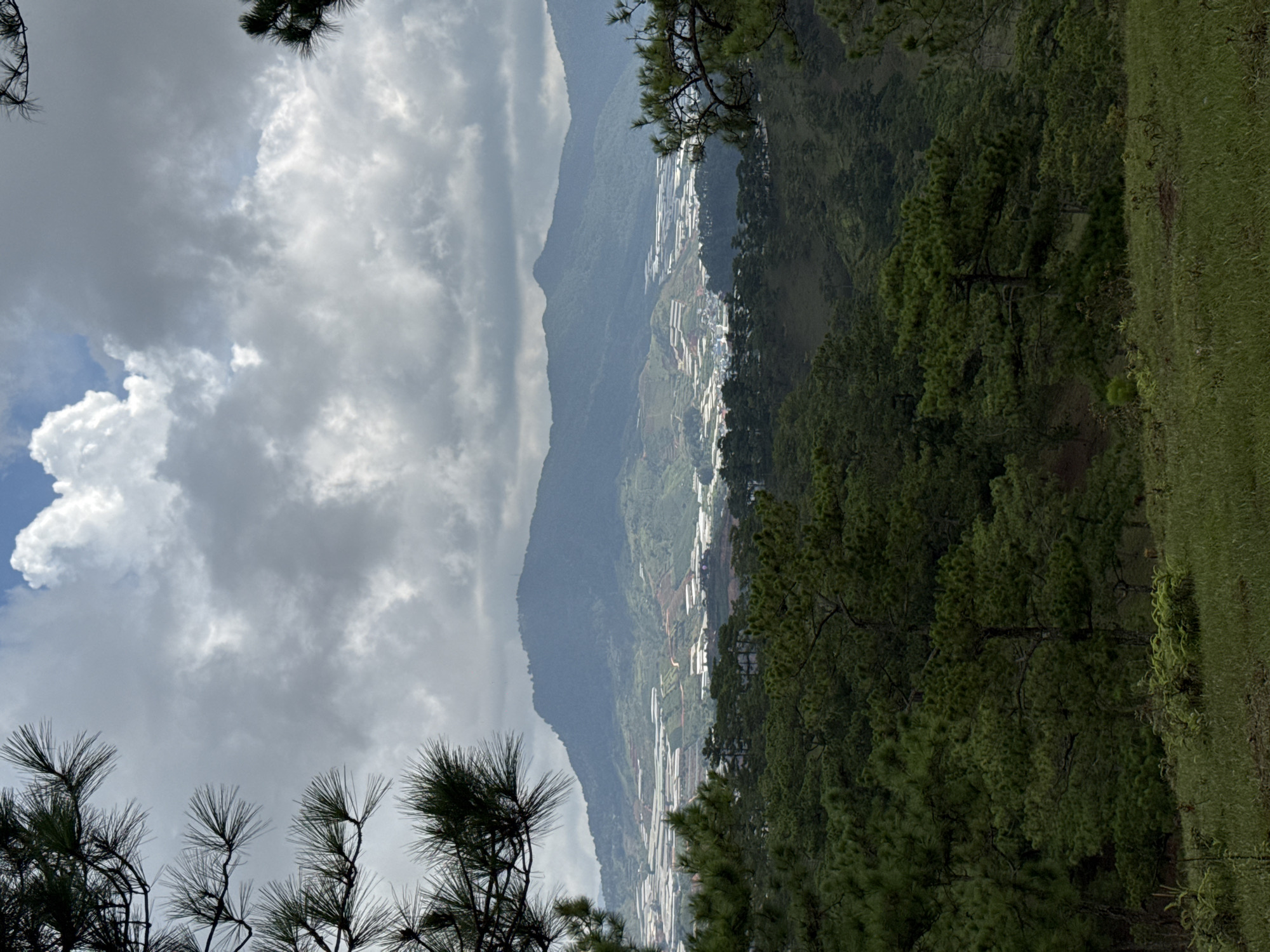 The image shows an aerial view of a valley landscape, likely in Lạc Dương, Vietnam. The valley is filled with numerous greenhouses arranged in a grid-like pattern. Mountains rise in the background, partially obscured by clouds. The foreground features pine trees, some of which are framing the view. The sky is overcast with varying degrees of cloud cover. Grass is visible on the right side of the frame.