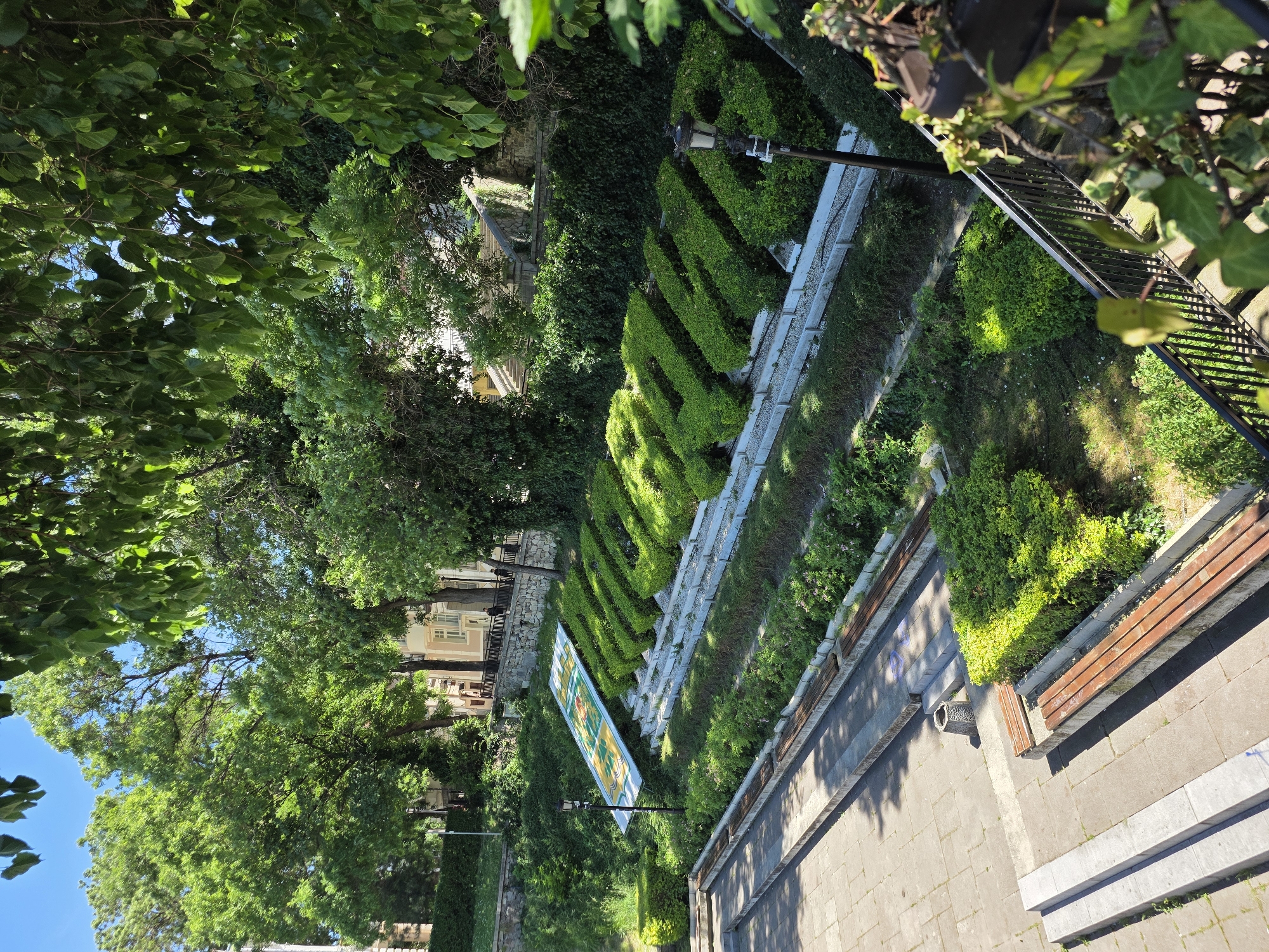 The image shows a green space in Plovdiv, Bulgaria, likely a park or garden. The scene is taken from an elevated position looking down. A walkway with brick pavers runs along the right side of the frame with several wooden benches. Adjacent to the walkway is a meticulously maintained garden with rows of pruned, cone-shaped bushes. These bushes are separated by low, concrete retaining walls. A large informational sign stands amidst the greenery. Trees with dense foliage partially obscure buildings in the background. The sky is visible in the upper left corner, indicating a sunny day.