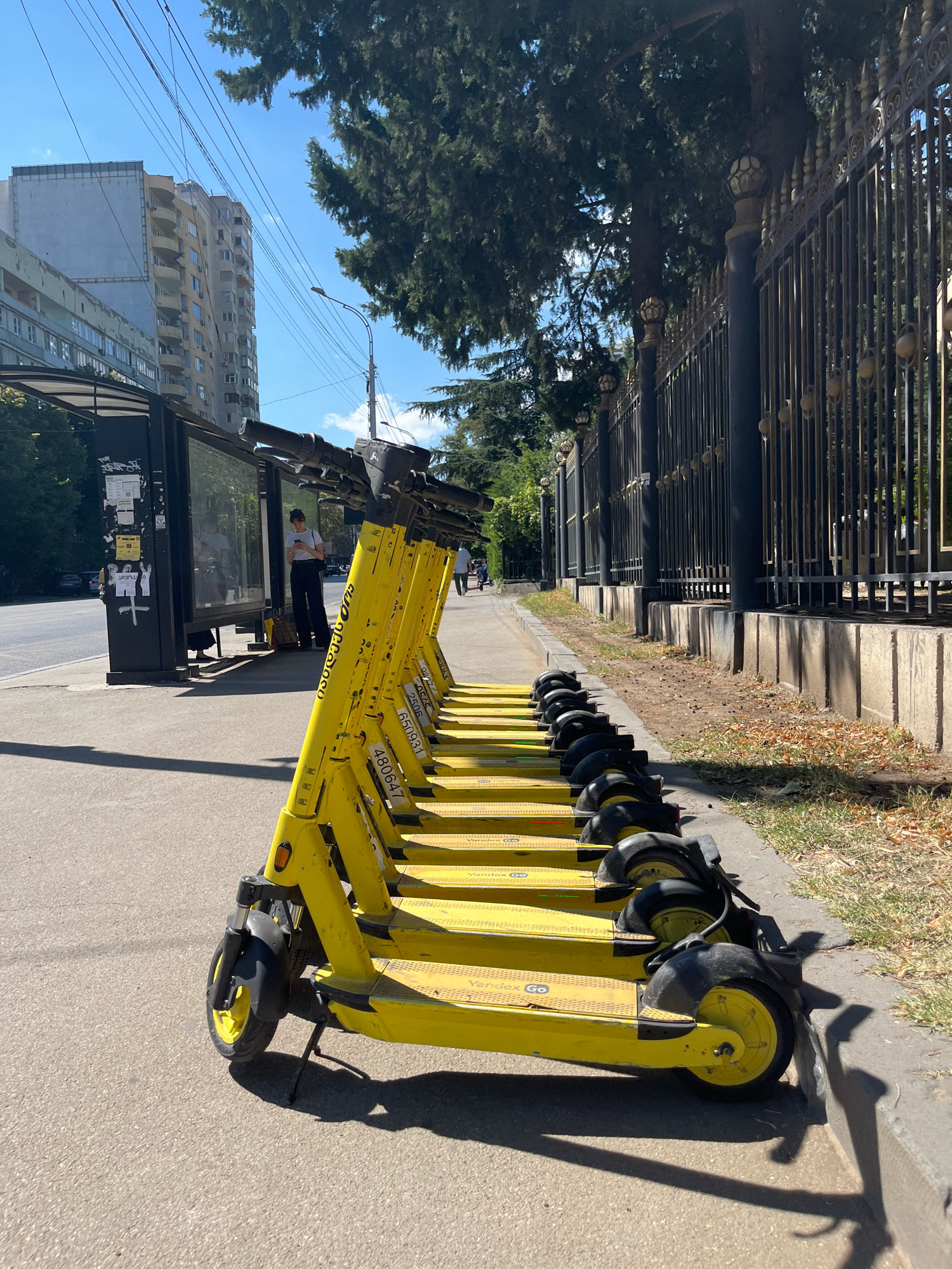 An eye-level, medium-shot image captures a row of yellow rental electric scooters parked along a sidewalk in Tbilisi, Georgia. The scooters are lined up facing away from the viewer, with their handlebars and front wheels visible. The scooters have identification numbers on their frames, such as "480647", "2506", and "610931". Behind the scooters, a sidewalk runs alongside a street. A bus stop shelter with advertisements is visible on the left. Further in the background, a tall, multi-story building stands, and a black wrought-iron fence with ornate finials runs along the right side of the frame. Trees with lush green foliage are present behind the fence and along the sidewalk. The sky is clear and blue, indicating a sunny day. A few people are seen near the bus stop and further down the street. One person stands near the bus stop, looking at their phone, while others are walking in the distance. The scene is devoid of any overt action or interaction.