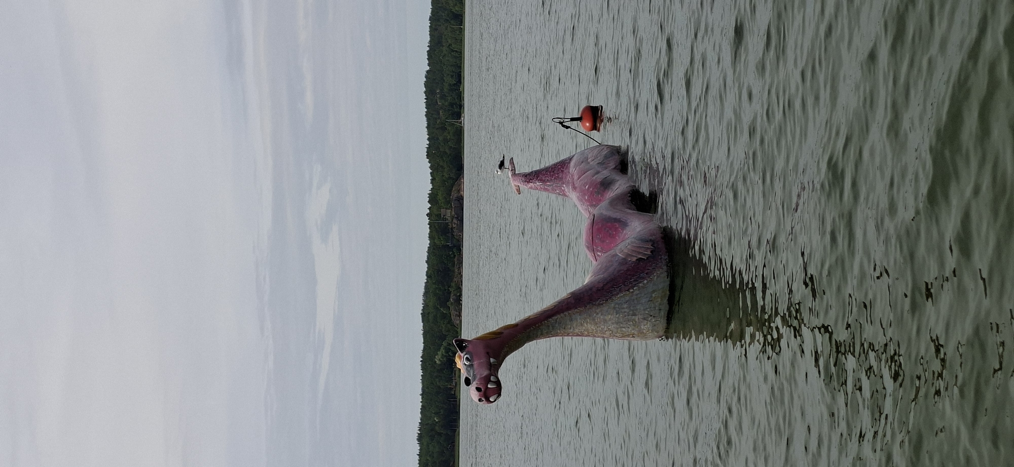 The image depicts a large, pink, dragon-like sculpture partially submerged in the water, on a cloudy day. The sculpture has a long neck, a head with prominent teeth and eyes, and a body that curves out of the water. A seagull is perched on the rear hump of the sculpture. In the background, a line of green trees forms the shoreline, with a few buildings and a small sailboat visible. An orange buoy with a black rope is floating in the water to the right of the sculpture. This sculpture is likely the "Naantali Moomin Dragon," a popular attraction located in the archipelago of Naantali, Finland, specifically in the waters near the Moomin World theme park on Kailo Island. The water appears calm, with ripples reflecting the overcast sky and the sculpture. The overall scene suggests a slightly surreal and whimsical outdoor setting.