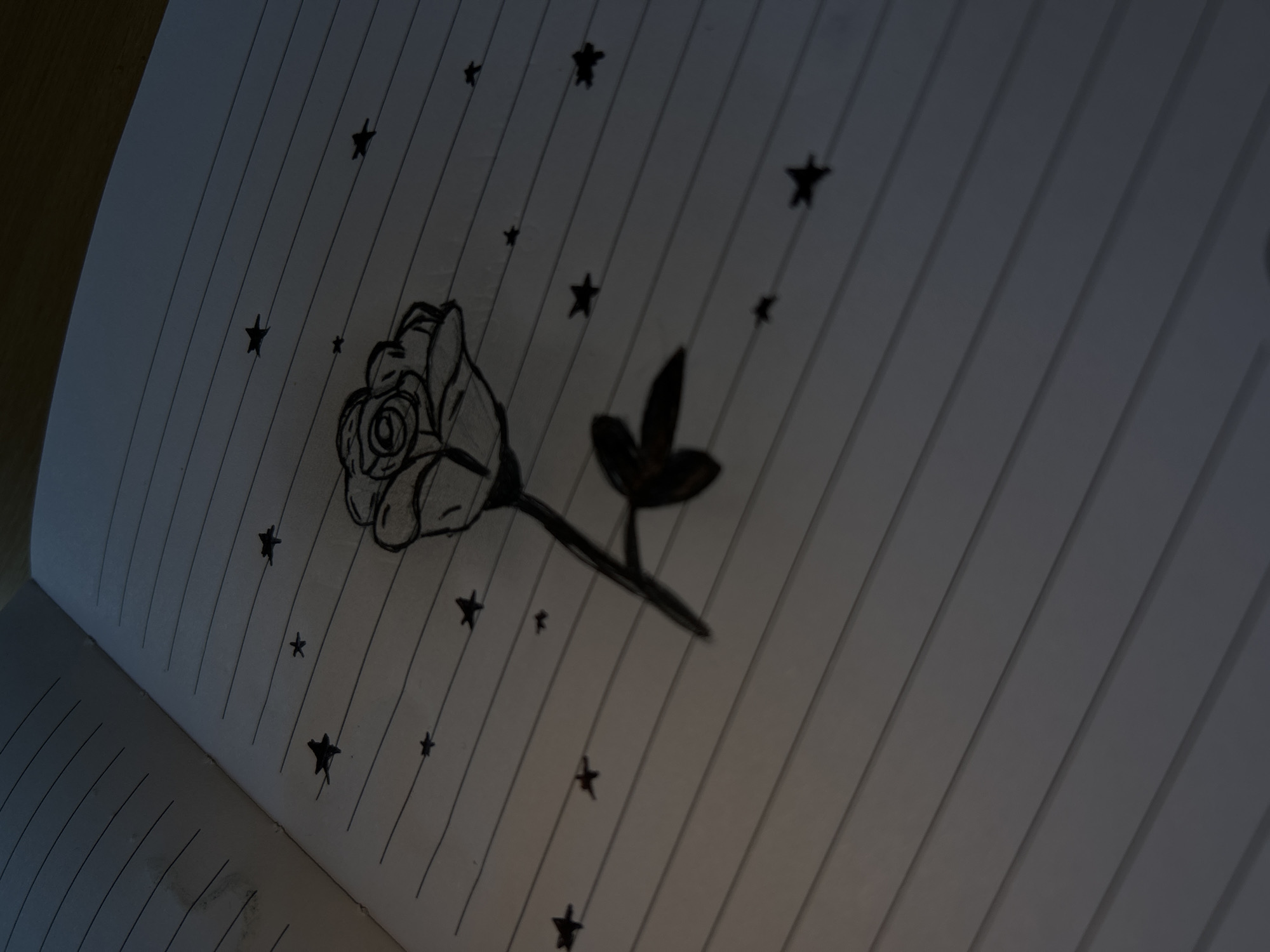 A close-up, high-angle shot shows a lined notebook open to a page with a hand-drawn black rose and several small, black stars scattered across the page. The notebook appears to be on a wooden surface, suggesting it is placed on a table or desk. The lighting is dim, casting shadows that obscure some details of the drawing and the notebook's left page, which has faint horizontal lines. The image is likely taken indoors, possibly in a residence or a quiet study area, and does not depict any specific location in Vidin, Bulgaria.