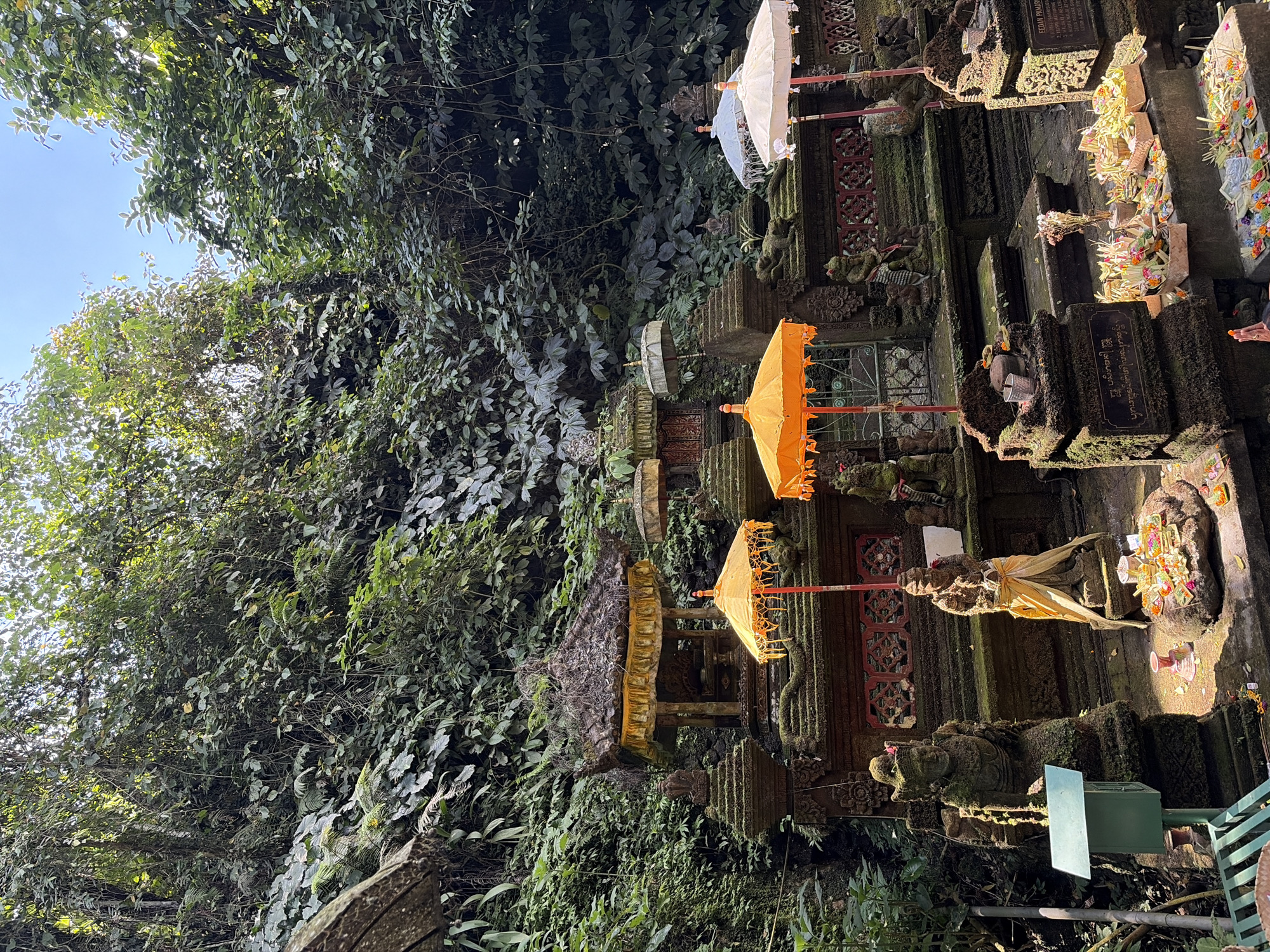 This image depicts an outdoor shrine complex surrounded by lush greenery and moss-covered stone structures in Tegallalang, Indonesia. The shrine features multiple tiers of intricately carved stonework, adorned with small altars and decorative elements. Several statues of figures, possibly deities or guardians, are visible, some covered in moss.
Decorative umbrellas in shades of orange, yellow, and white are placed strategically around the shrine, providing shade and adding color to the scene. In front of the shrine, offerings of flowers, incense, and other ritual items are arranged on stone platforms and the ground.
The surrounding environment is dominated by dense vegetation, with large green leaves and vines covering the walls and trees. Sunlight filters through the foliage, creating dappled light and shadows on the scene. The overall atmosphere suggests a place of worship or cultural significance set within a natural, tropical landscape.