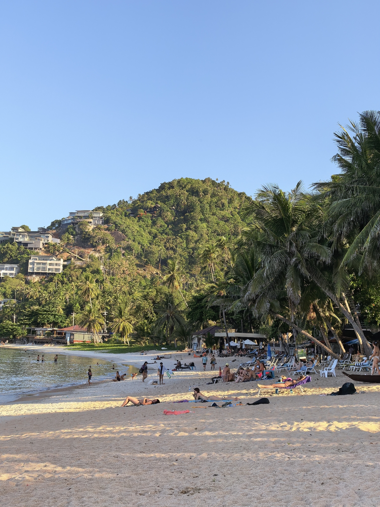 A tropical beach scene in Ko Samui District, Thailand, is captured from a low angle, showcasing a sandy shoreline with people relaxing and bathing. The foreground is dominated by the sun-drenched sand, with several individuals sunbathing on towels and loungers. Further back, the shallow, clear ocean water laps gently at the shore, with a few more people wading or swimming.
Lining the edge of the beach is a dense arrangement of palm trees, their fronds casting dappled shadows on the sand. Behind the trees, a steep, tree-covered hillside rises, dotted with modern white buildings that appear to be hotels or residences, clinging to the slope. The sky above is a clear, bright blue.
In the midground, a row of beach chairs and umbrellas are set up, and a few open-air structures, possibly beach bars or restaurants, are visible. The atmosphere is relaxed and leisurely, typical of a holiday destination. The lighting suggests it is late afternoon, with the sun casting warm, long shadows across the beach.