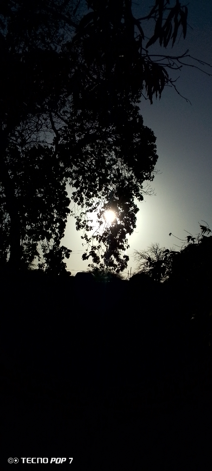The image depicts a silhouetted scene, likely taken at dusk or dawn in Altagracia, Venezuela. Dominating the upper portion are dark, dense trees, with the sun visible between branches, appearing as a bright light source. The foreground is entirely dark, obscuring any specific details. A phone watermark "TECNO POP 7" is visible in the lower left corner.