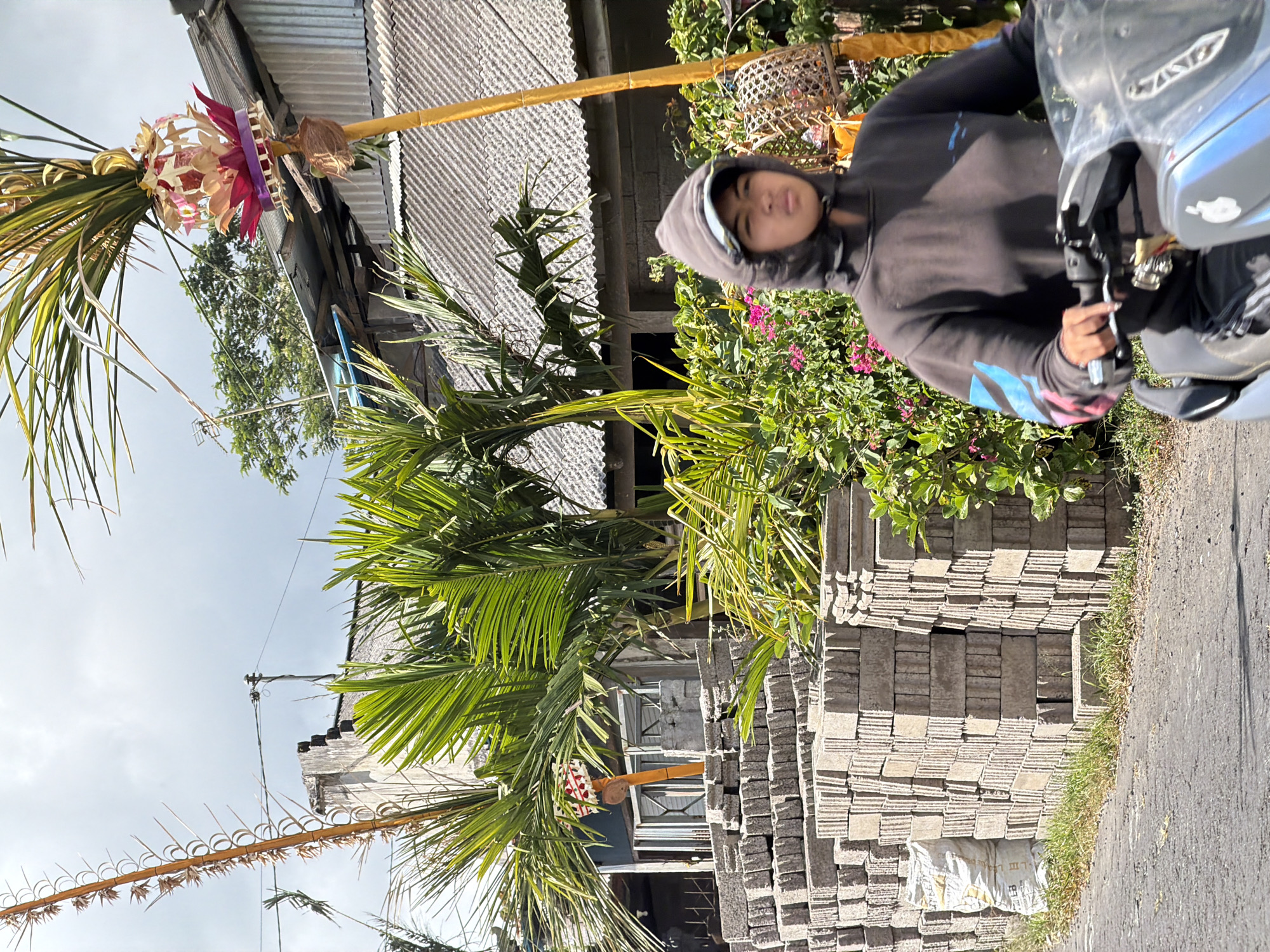 A person wearing a dark hooded sweatshirt rides a scooter through Kintamani, Indonesia. The scooter is blue and grey. The person is facing forward. In the background, stacks of gray bricks are piled on the side of the road. Tall, thin bamboo poles with decorative elements are planted on either side of the road, adorned with what appear to be offerings or festive decorations. Green palm fronds and lush vegetation are visible throughout the scene. The sky is overcast and cloudy. The buildings in the background have corrugated metal roofs.
