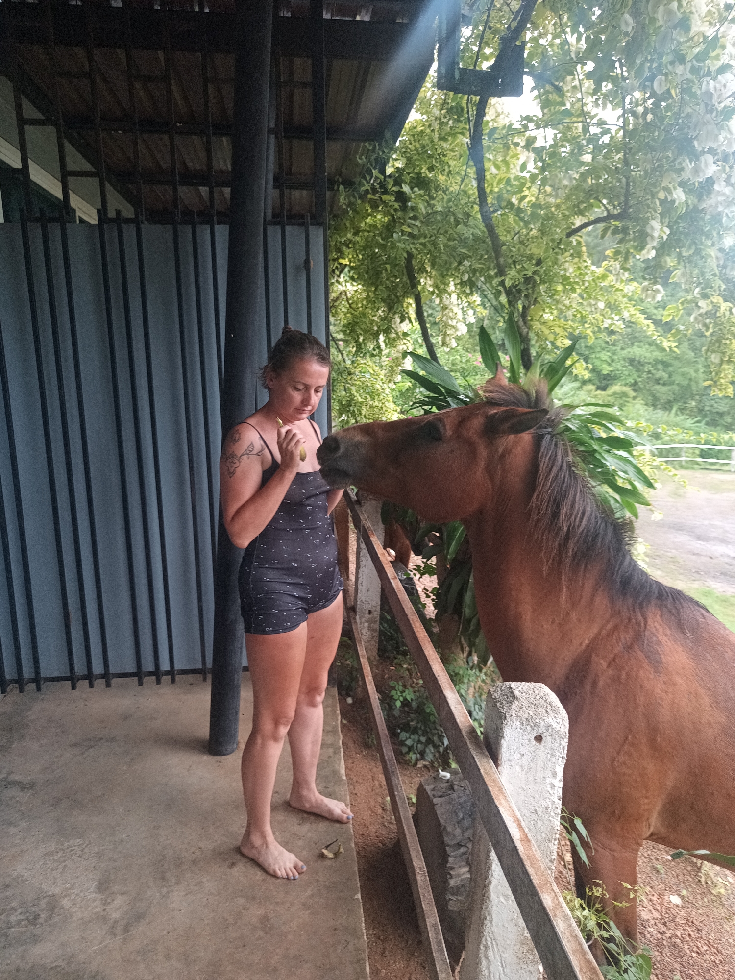A full-length photograph taken in Ban Tak Daet, Thailand, depicts a woman interacting with a brown horse near a building's porch. The woman, fair-skinned and barefoot, stands on a concrete porch wearing a black, dotted romper with spaghetti straps. She appears to be feeding the horse, holding a piece of food in her hand. She is standing parallel with a porch with grey metal bars. The horse, predominantly brown with a dark mane, is reaching over a low, aged fence, extending its head towards the woman. The foreground includes part of the porch and the weathered fence. The background features lush green foliage, indicating a tropical or rural setting. The porch is covered with a metal roof.