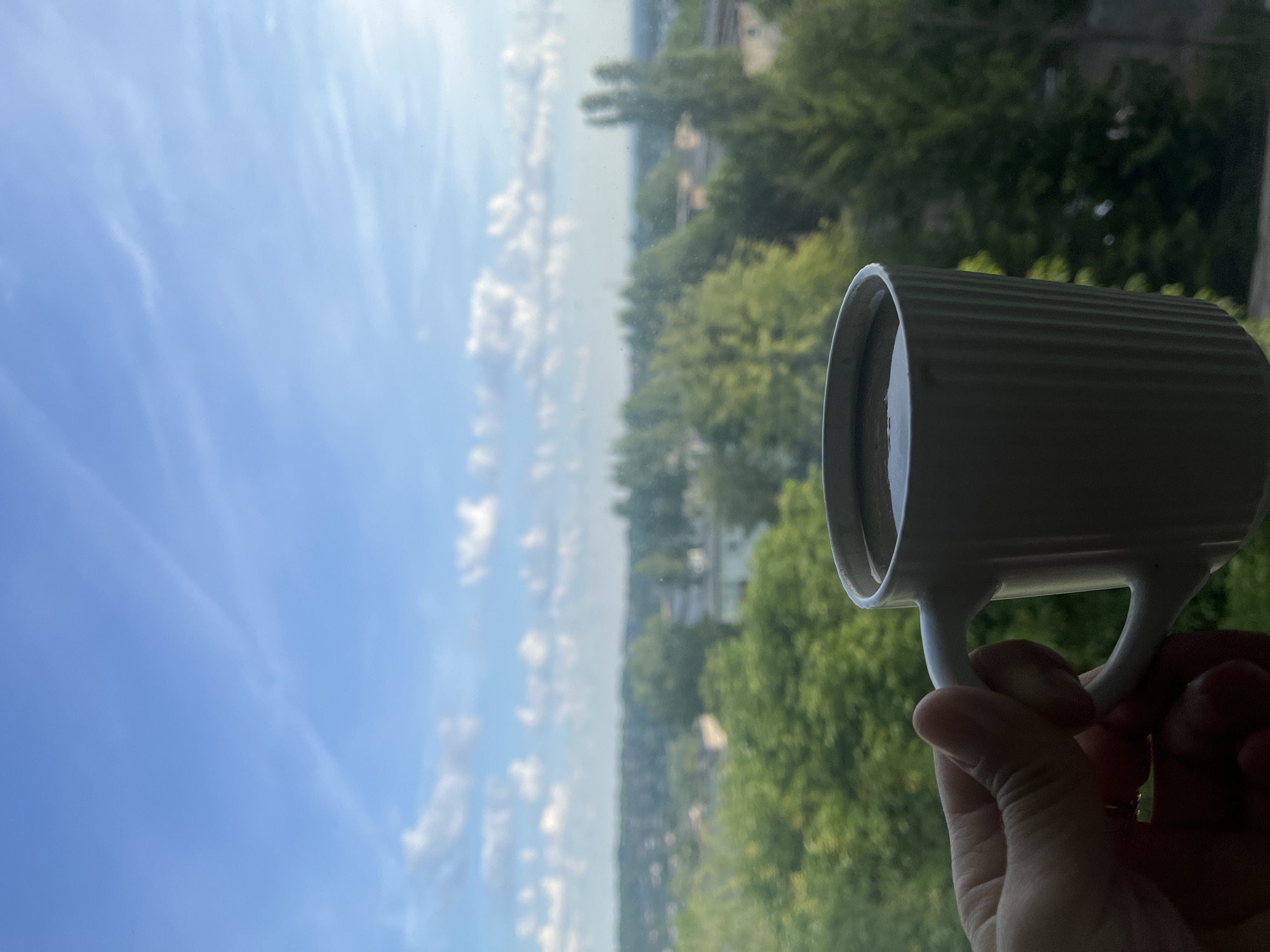 A hand holds a white ribbed mug filled with a dark beverage, possibly coffee, positioned in the foreground. The mug is slightly to the right of the image center. Beyond the mug and hand, a blurred cityscape unfolds under a bright blue sky dotted with white, wispy clouds. Lush green trees dominate the middle ground, interspersed with buildings. The perspective suggests the view is from a window or balcony. The overall impression is a serene morning or daytime scene in an urban environment.