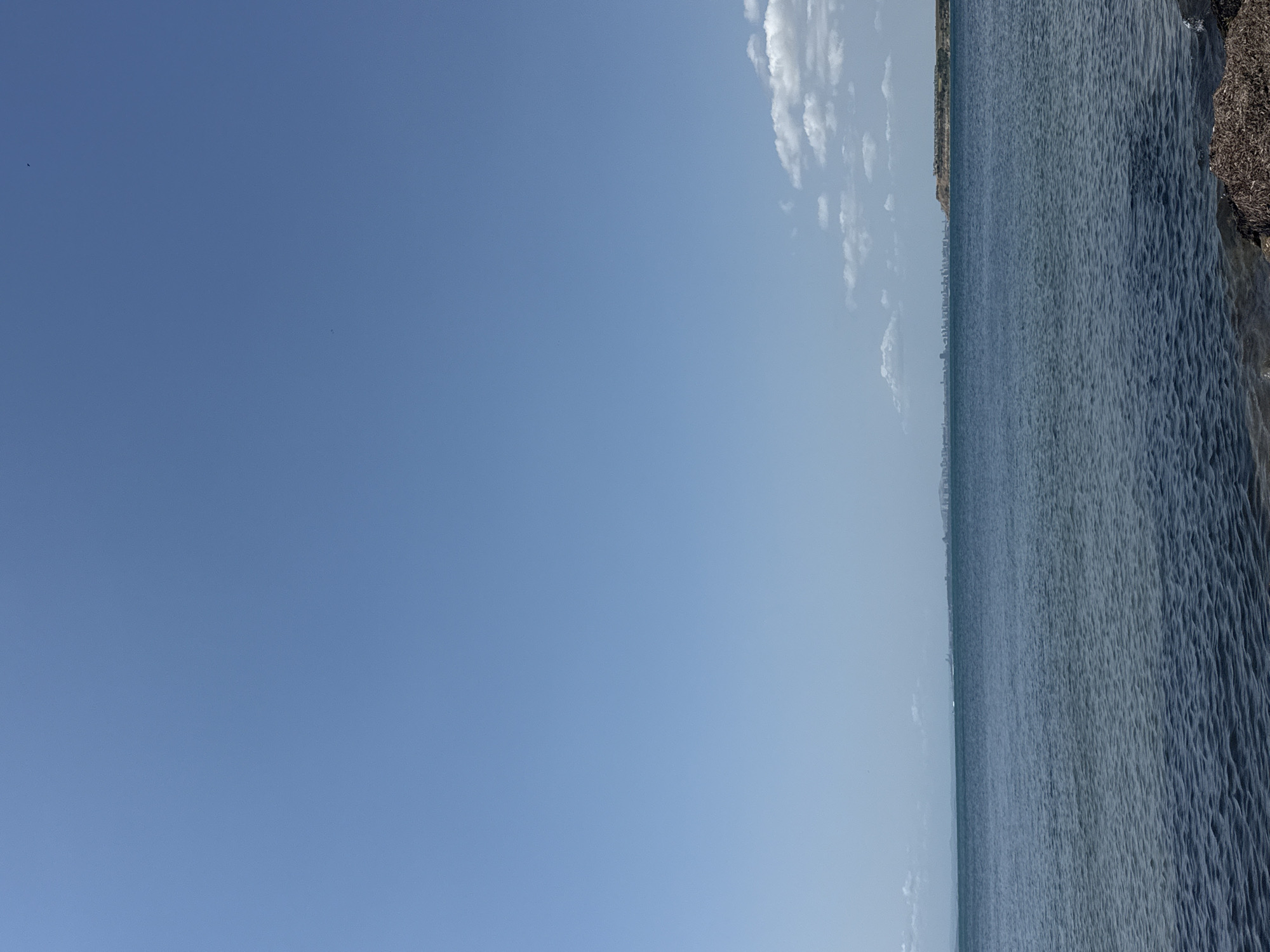 A wide shot of the Black Sea coastline in Pomorie, Bulgaria, under a clear blue sky. The water is a deep blue, with gentle ripples. In the distance, a city skyline is visible on the horizon, characterized by numerous buildings. To the right of the city, a prominent headland juts out into the sea. A patch of dry seaweed and rocks is visible in the foreground on the right side of the frame. There are no people or animals in the image.