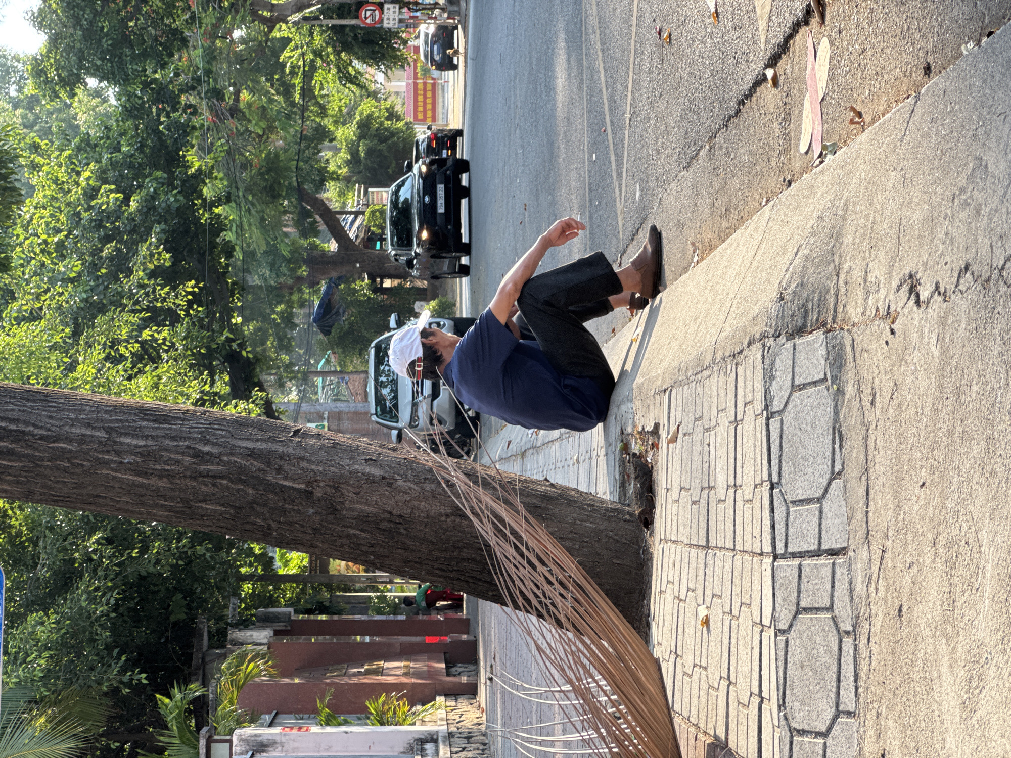 A man wearing a white cap and a dark blue t-shirt sits on a concrete curb beside a tree, facing away from the camera. He is wearing dark pants and brown shoes. A large dried palm frond lies on the sidewalk next to the tree, partially obscuring its trunk. The scene is set on a street in Nha Trang, Vietnam, with cars driving on the road in the background. Trees line the street, and buildings are visible on the left side of the image. The sun is low in the sky, casting long shadows.