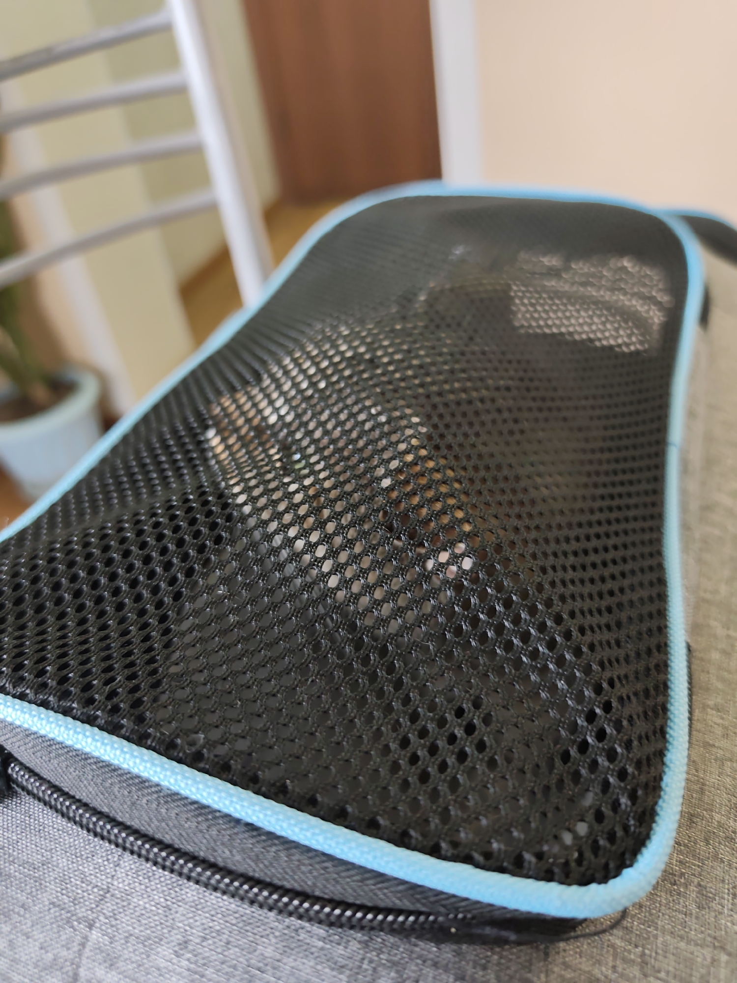A close-up shot shows a black mesh bag with a light blue trim resting on a gray surface. The contents inside the bag are partially obscured by the mesh. Based on the available information, the location of the image is not discernible as being in the city of Нижний Пальник, Russia.